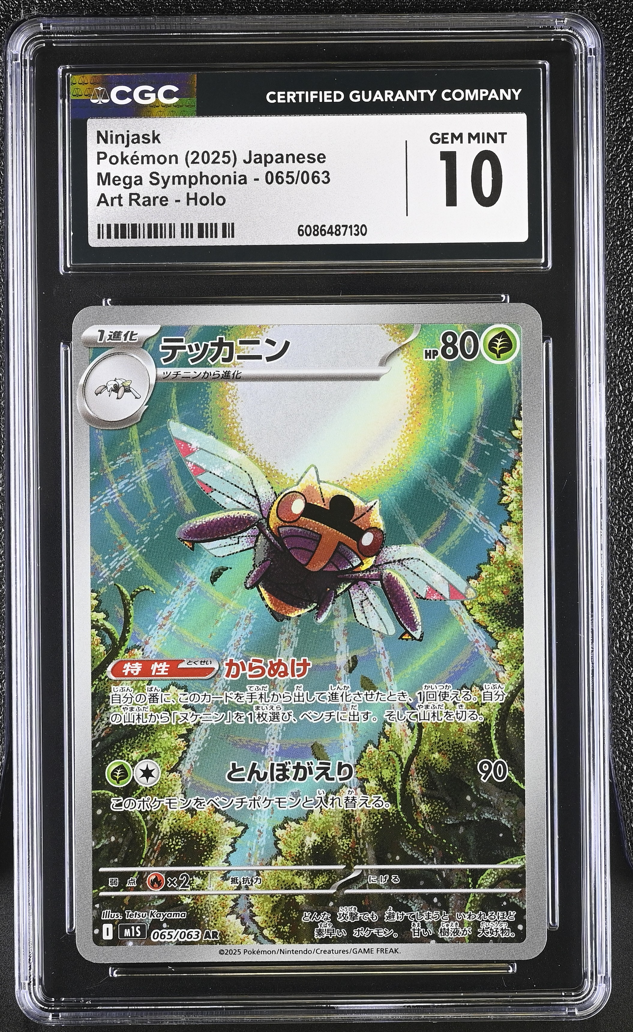 Ninjask card artwork