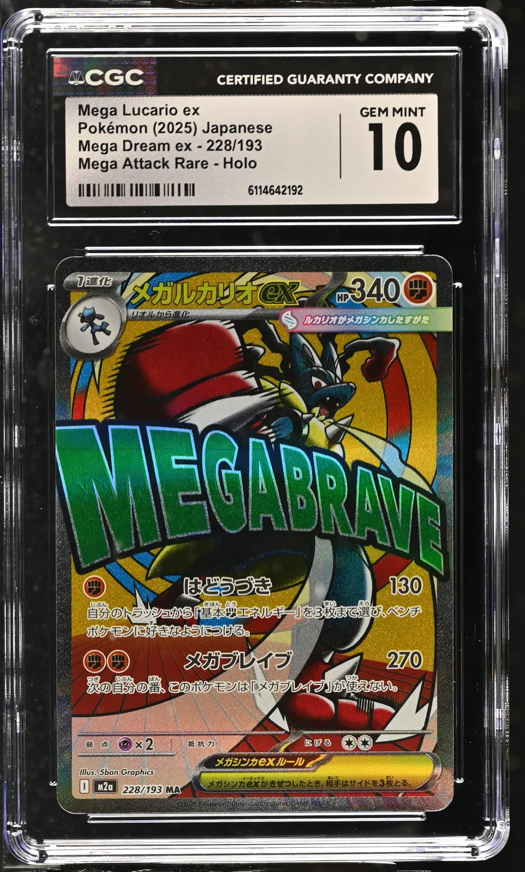 Mega Lucario ex card artwork