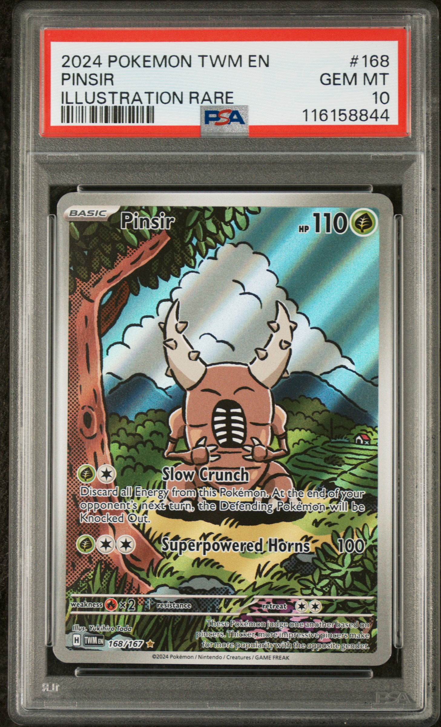 Pinsir card artwork