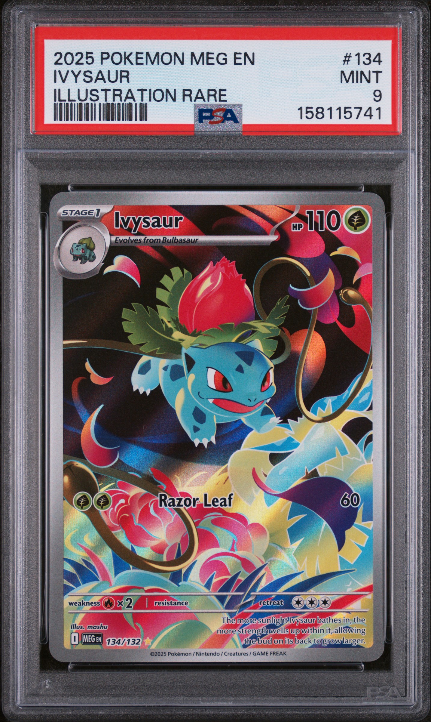 Ivysaur card artwork