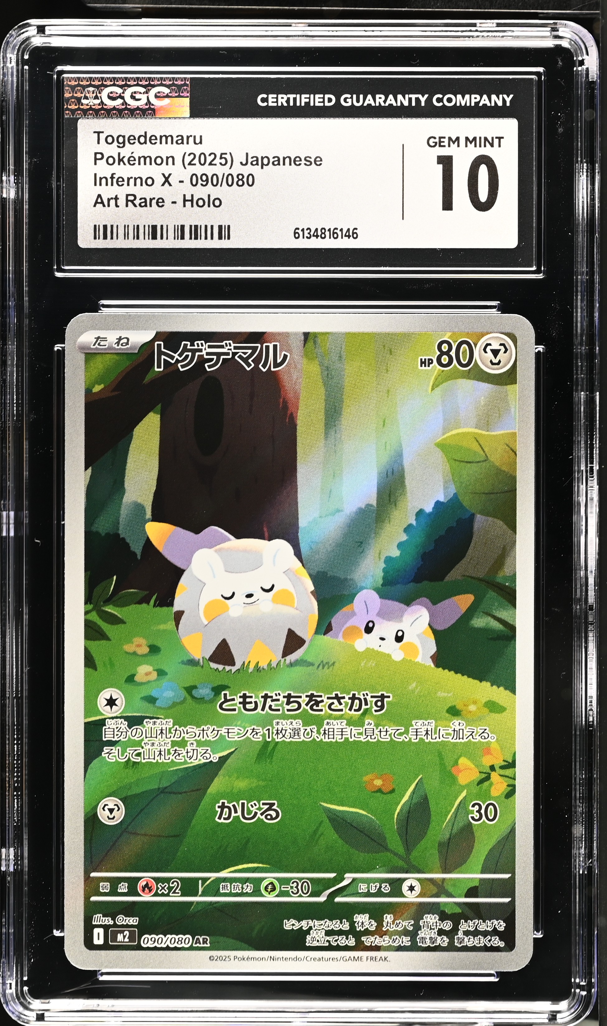 Togedemaru card artwork