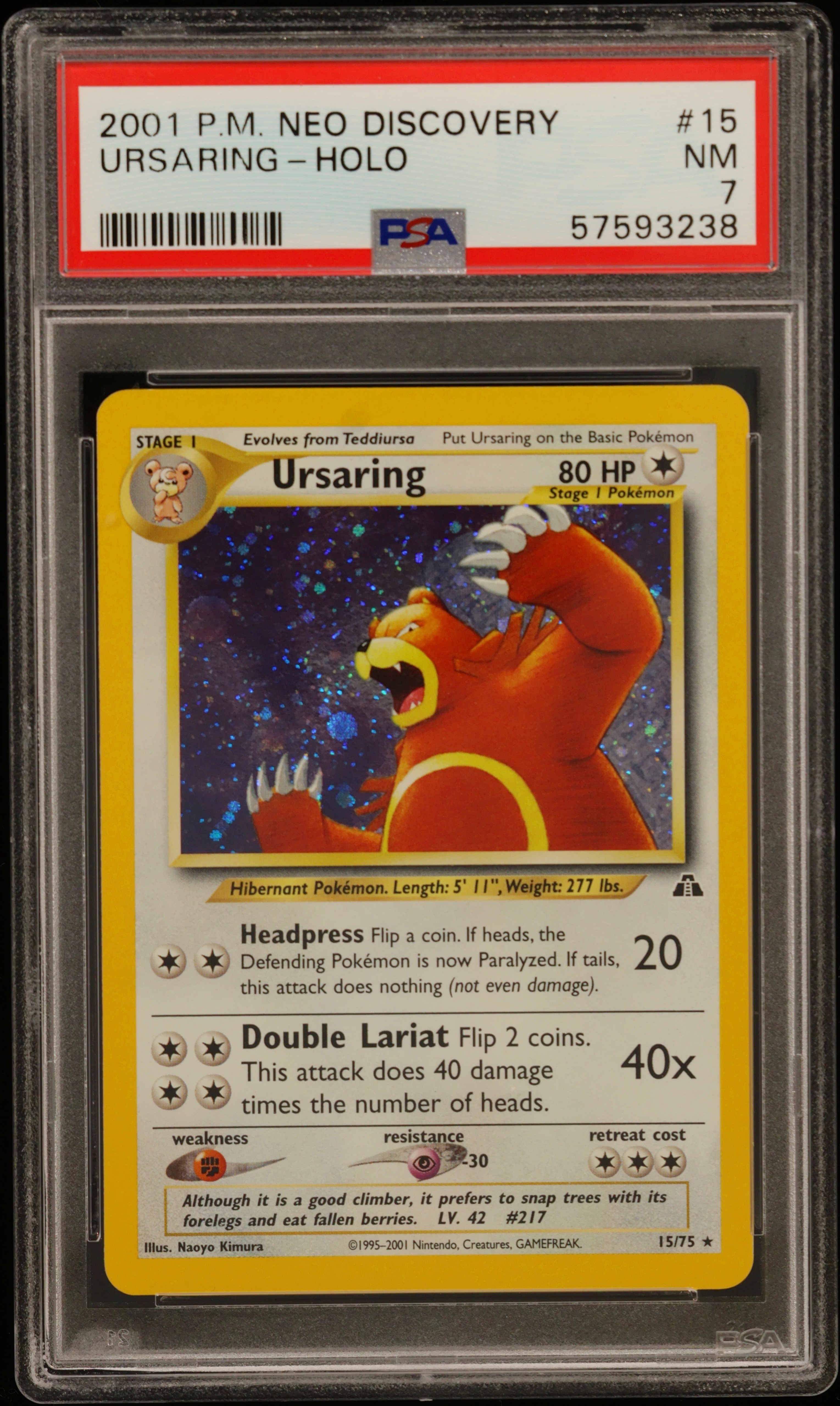 Ursaring-Holo card artwork