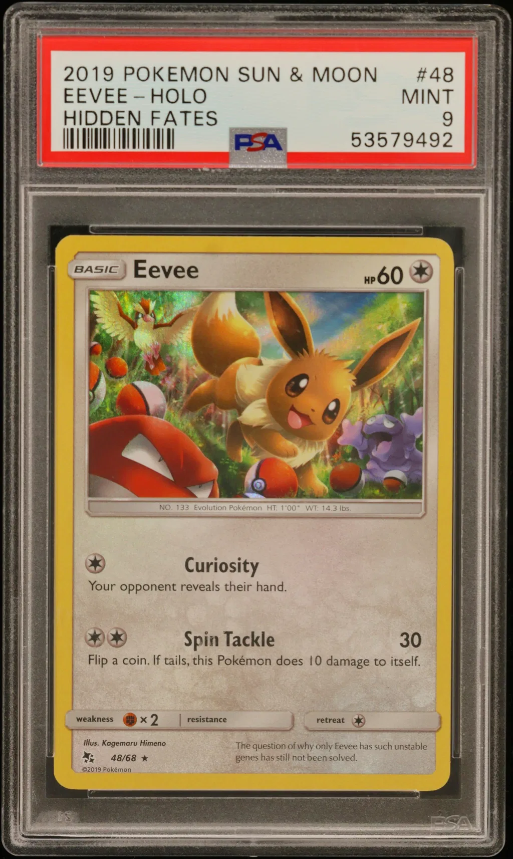 Eevee-Holo card artwork