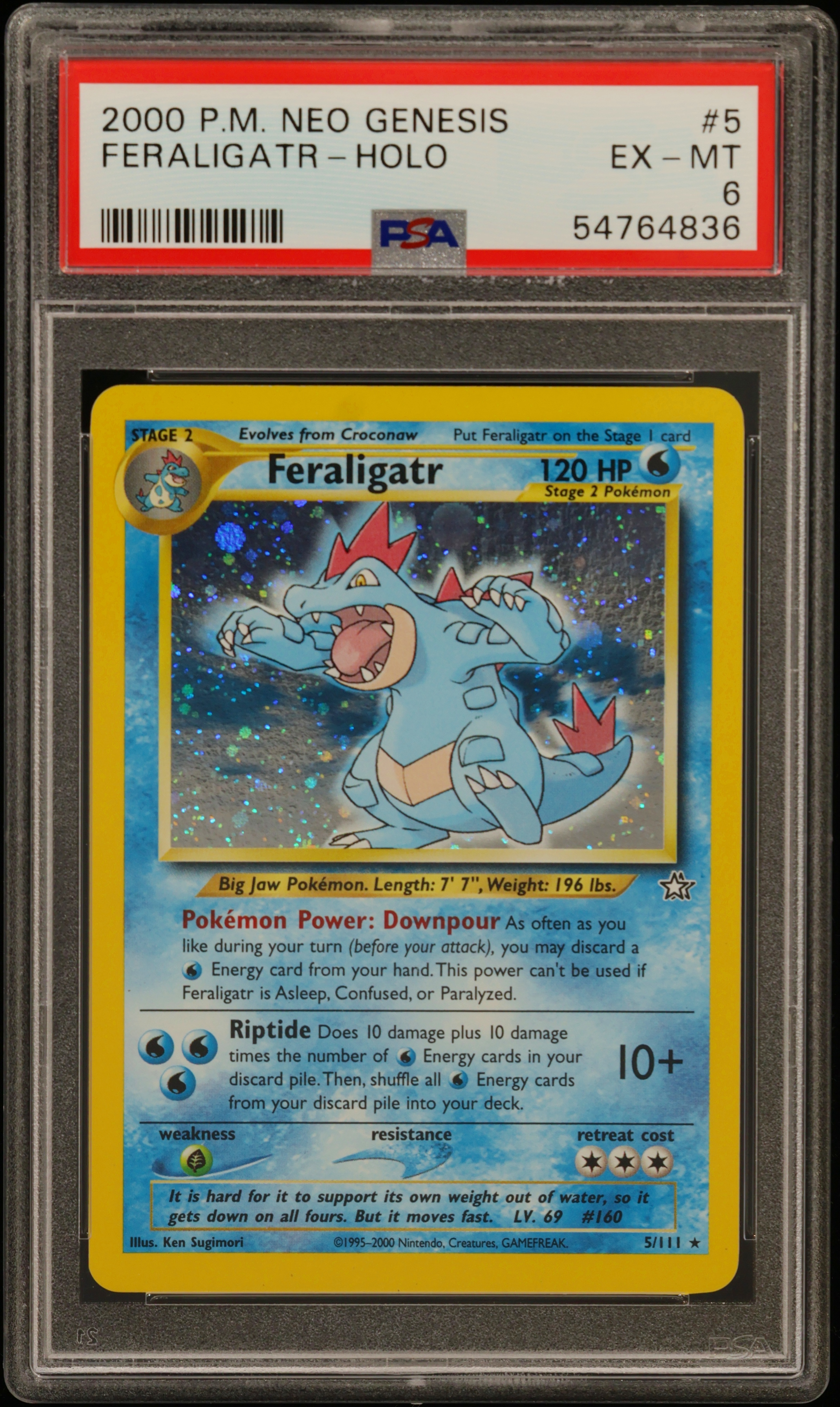 Feraligatr-Holo card artwork