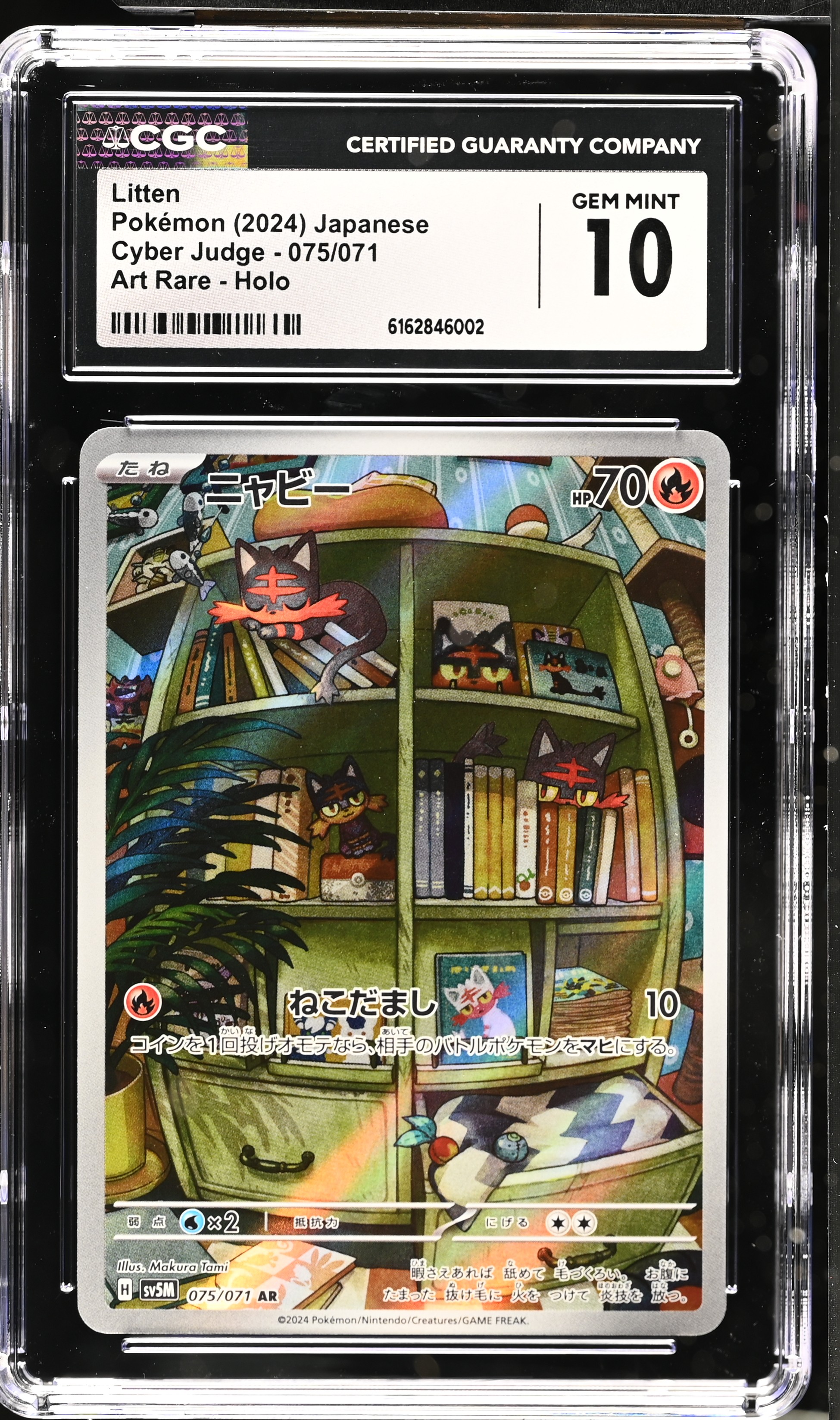 Litten card artwork