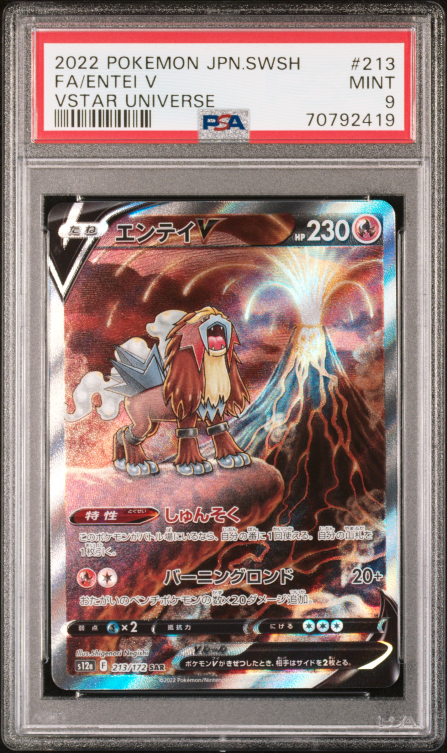 Full Art/Entei V card artwork