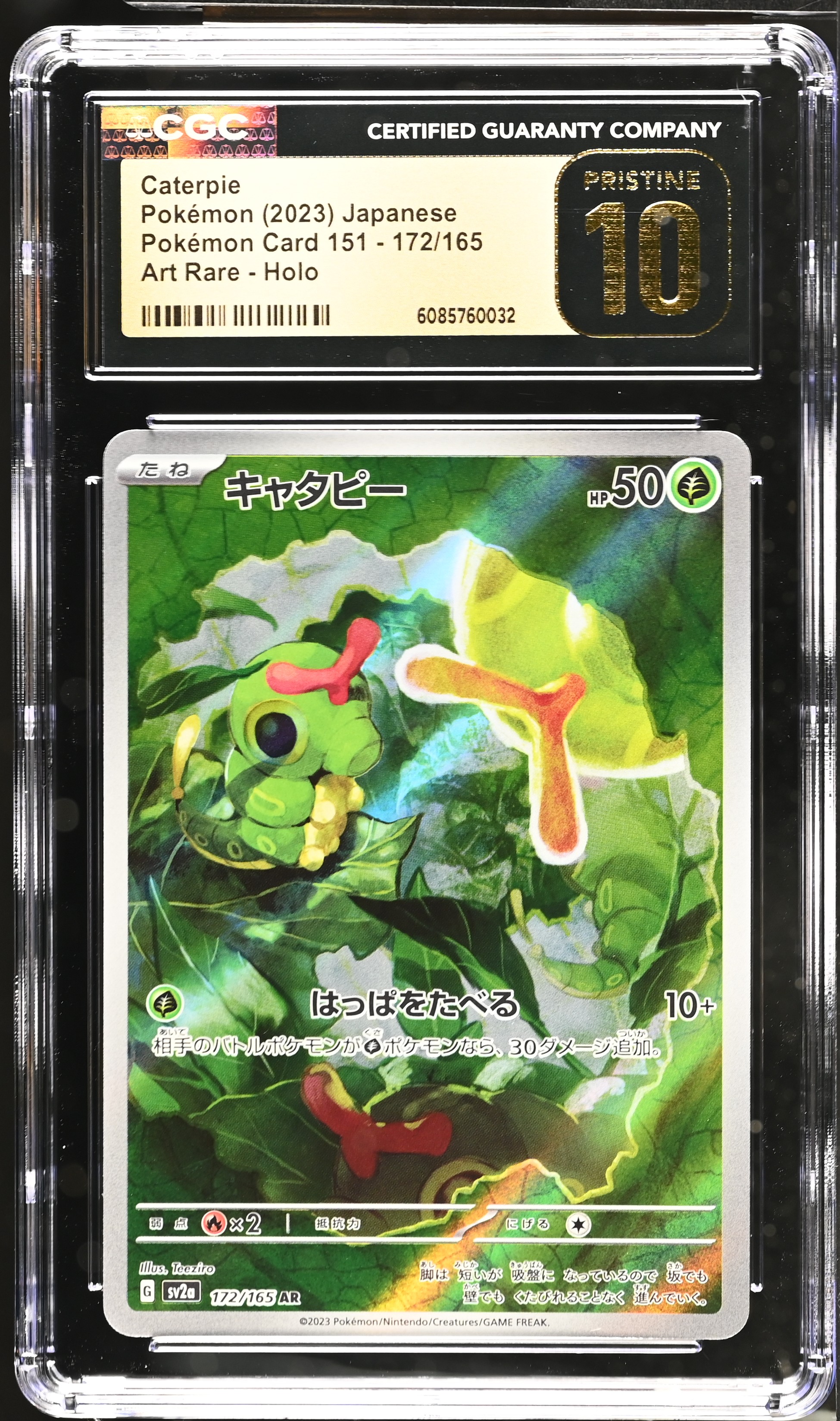 Caterpie card artwork