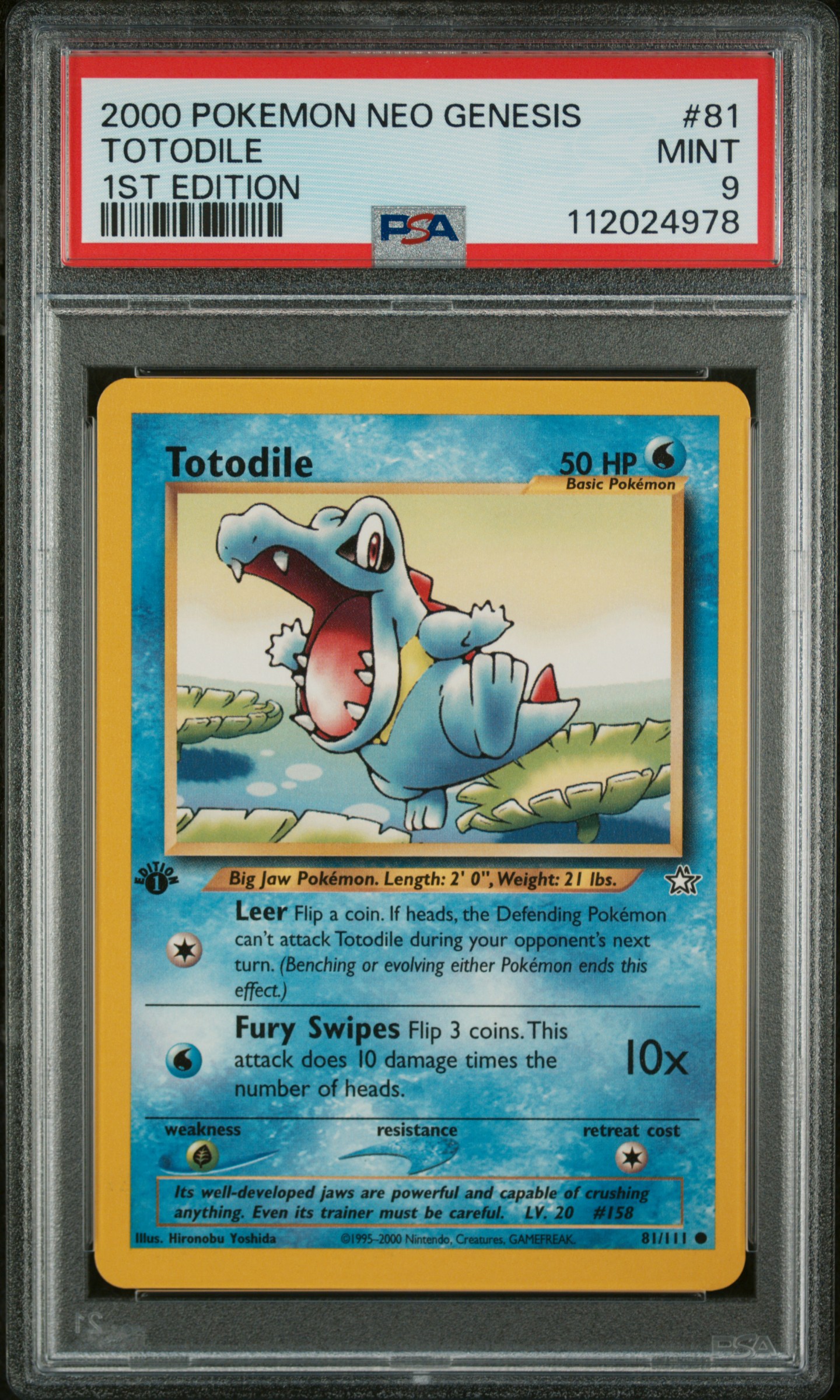 Totodile card artwork