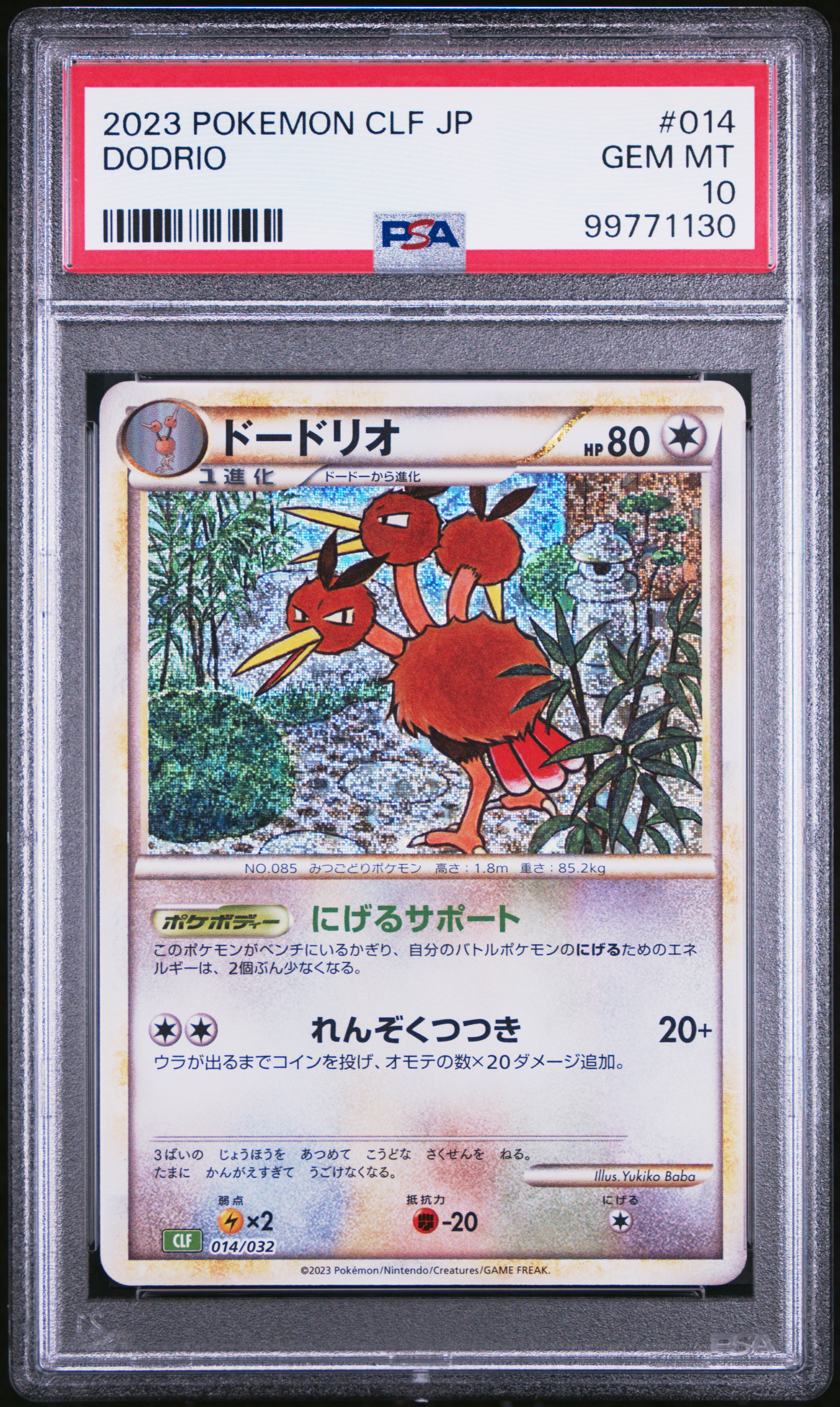 Dodrio card artwork