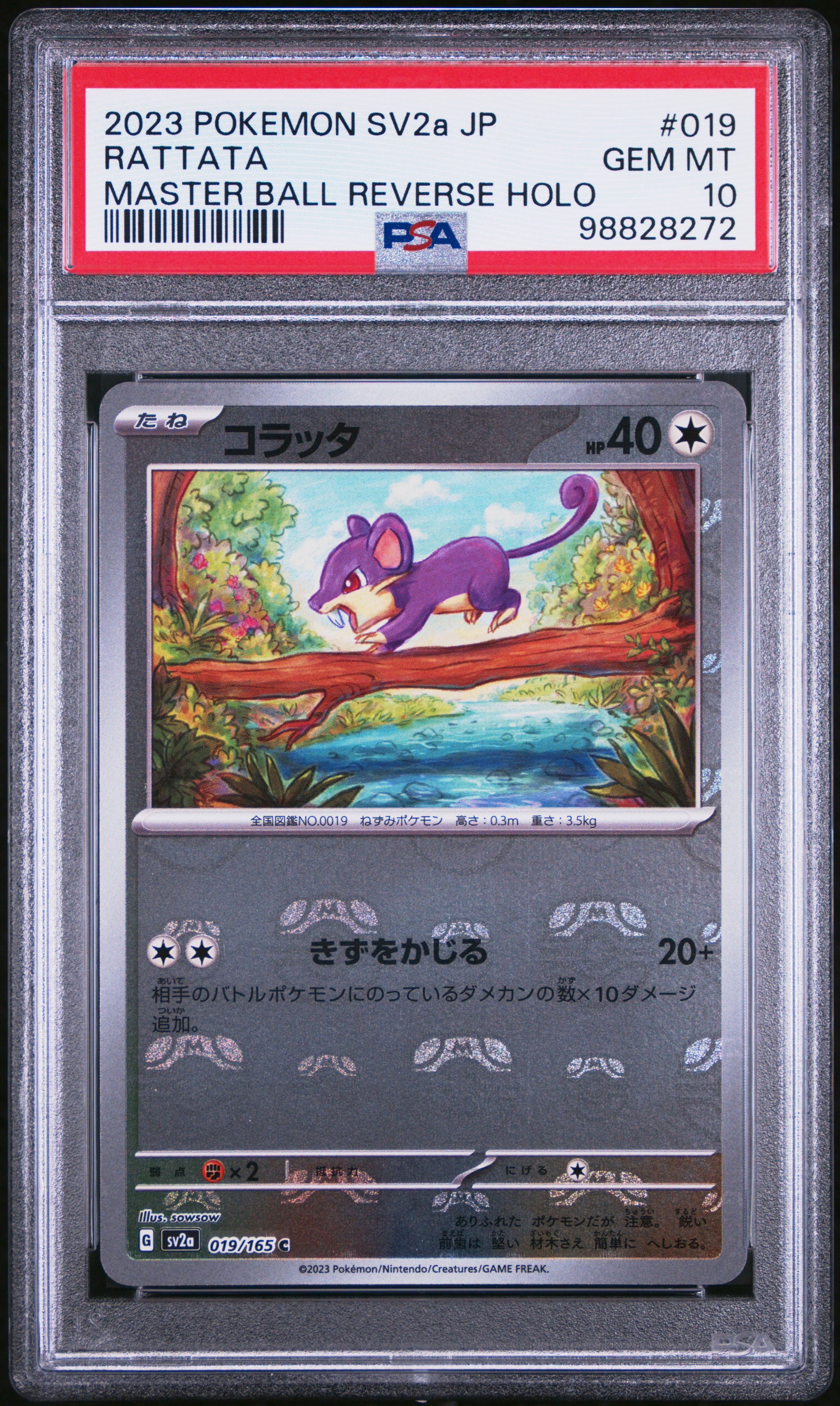 Rattata card artwork