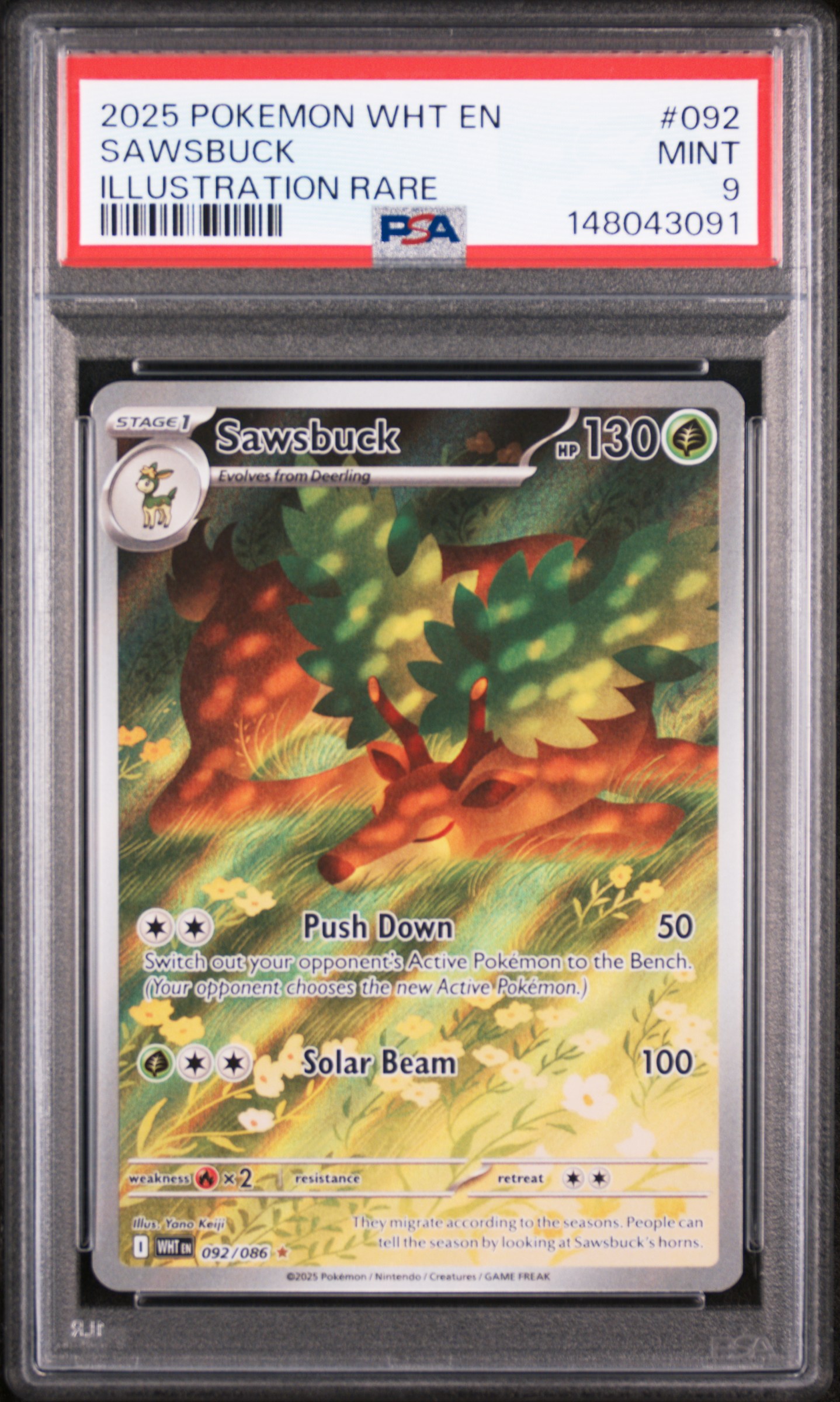 Sawsbuck card artwork