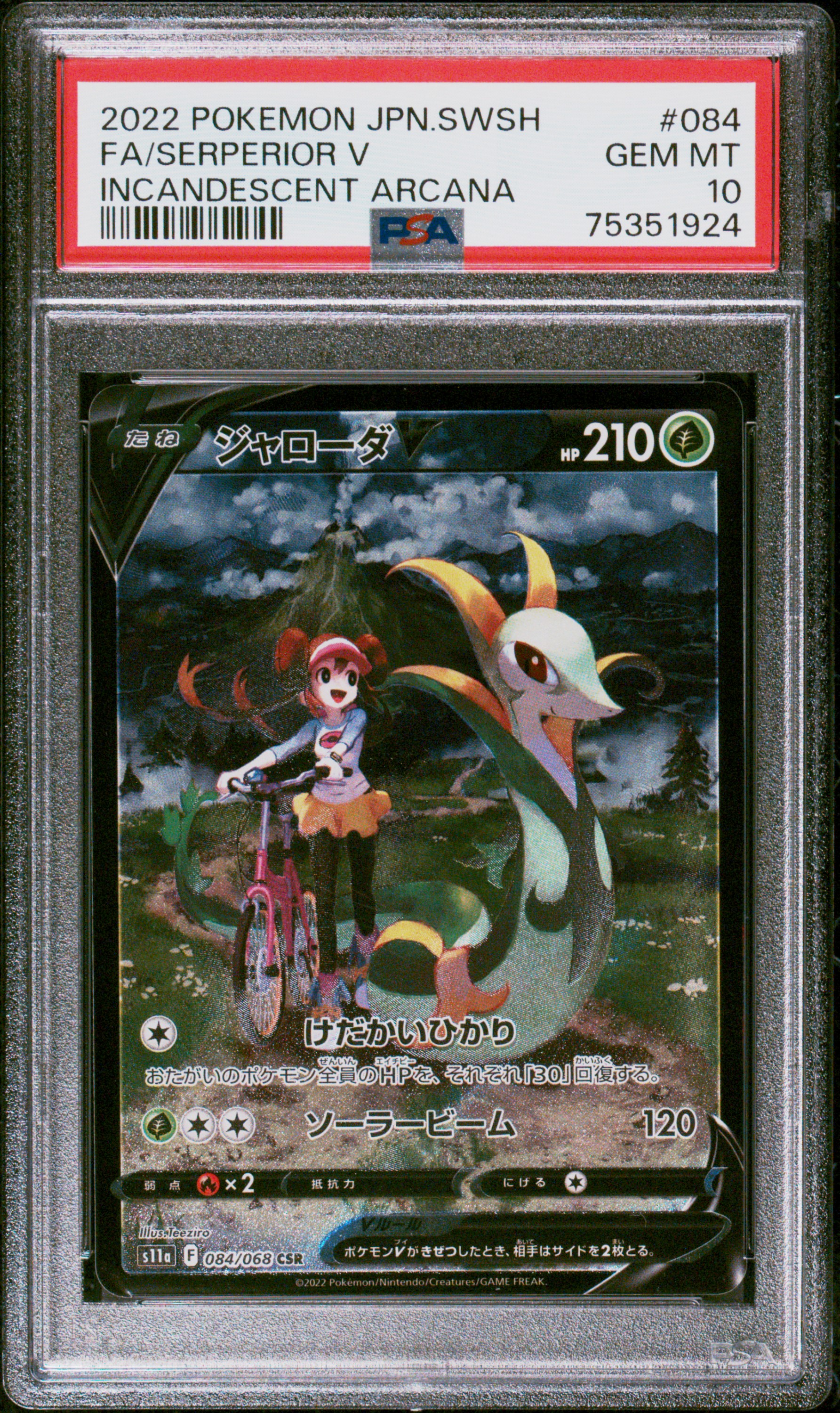 Full Art/Serperior V card artwork