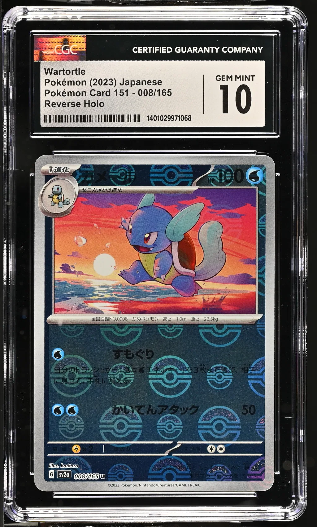 Wartortle card artwork