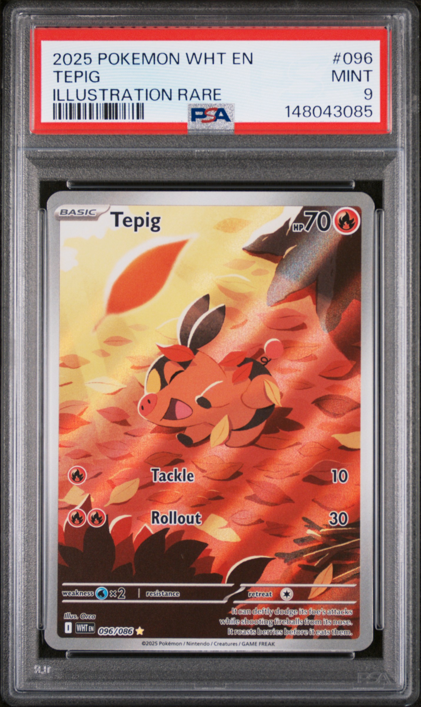 Tepig card artwork