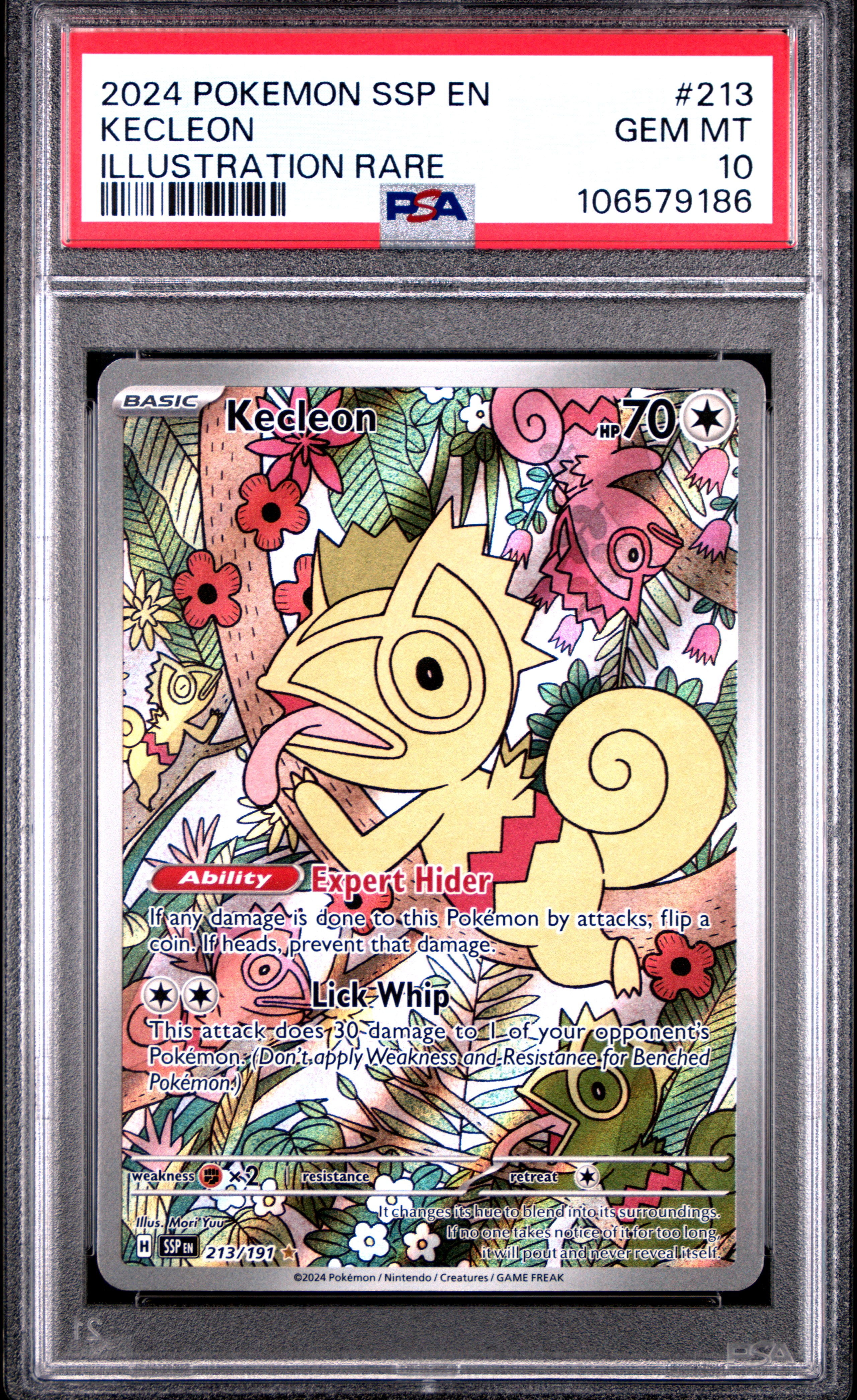 Kecleon card artwork