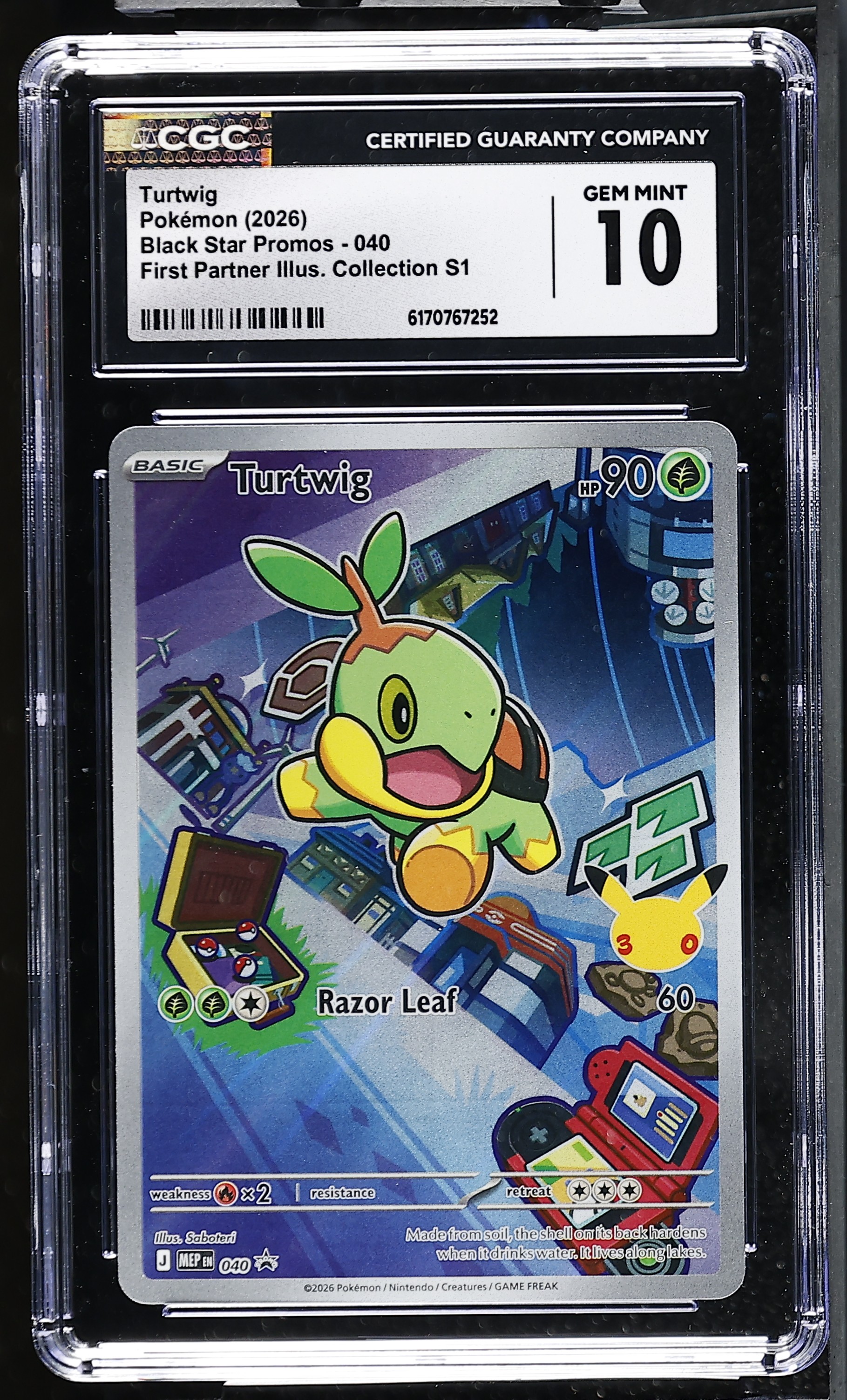 Turtwig card artwork