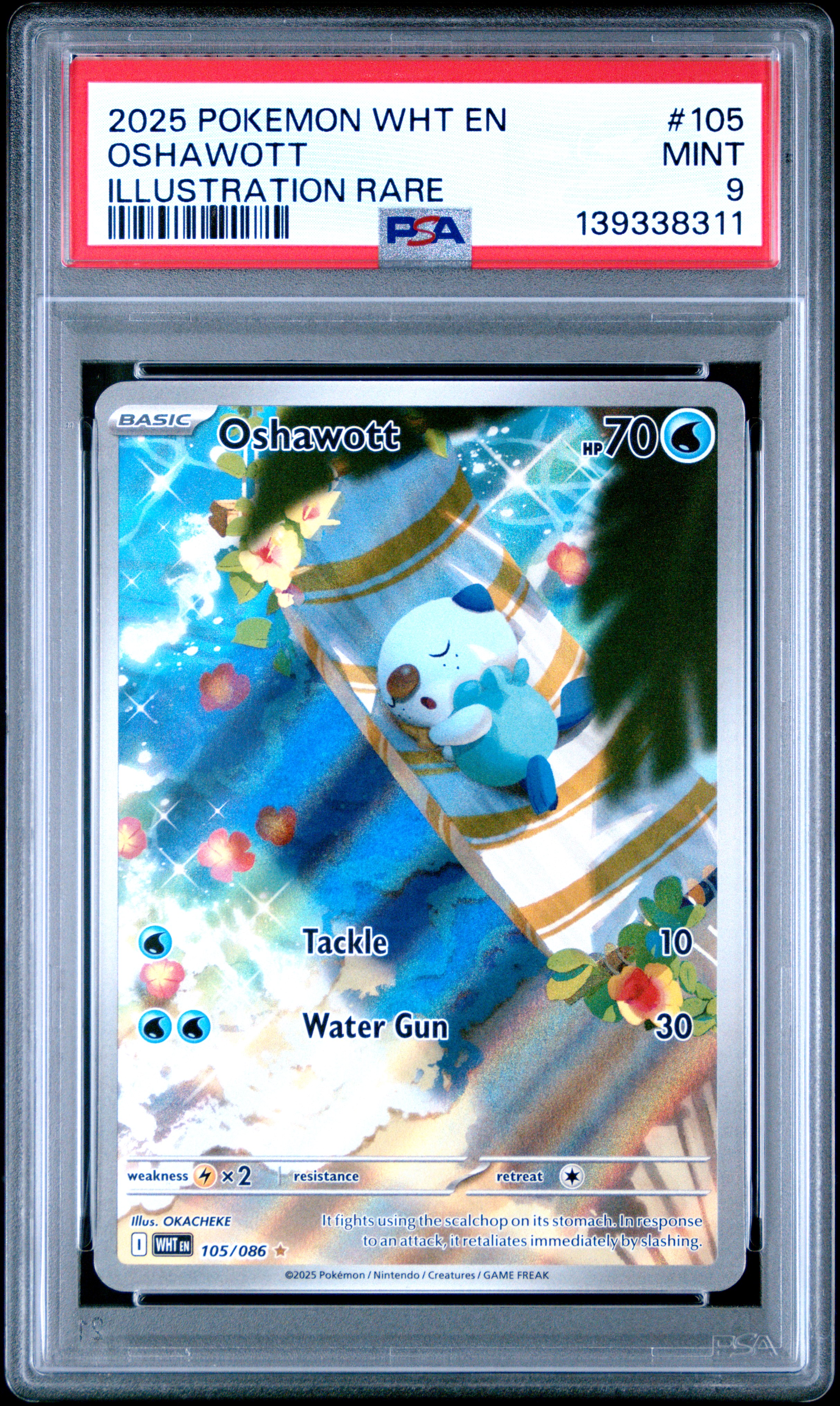 Oshawott card artwork