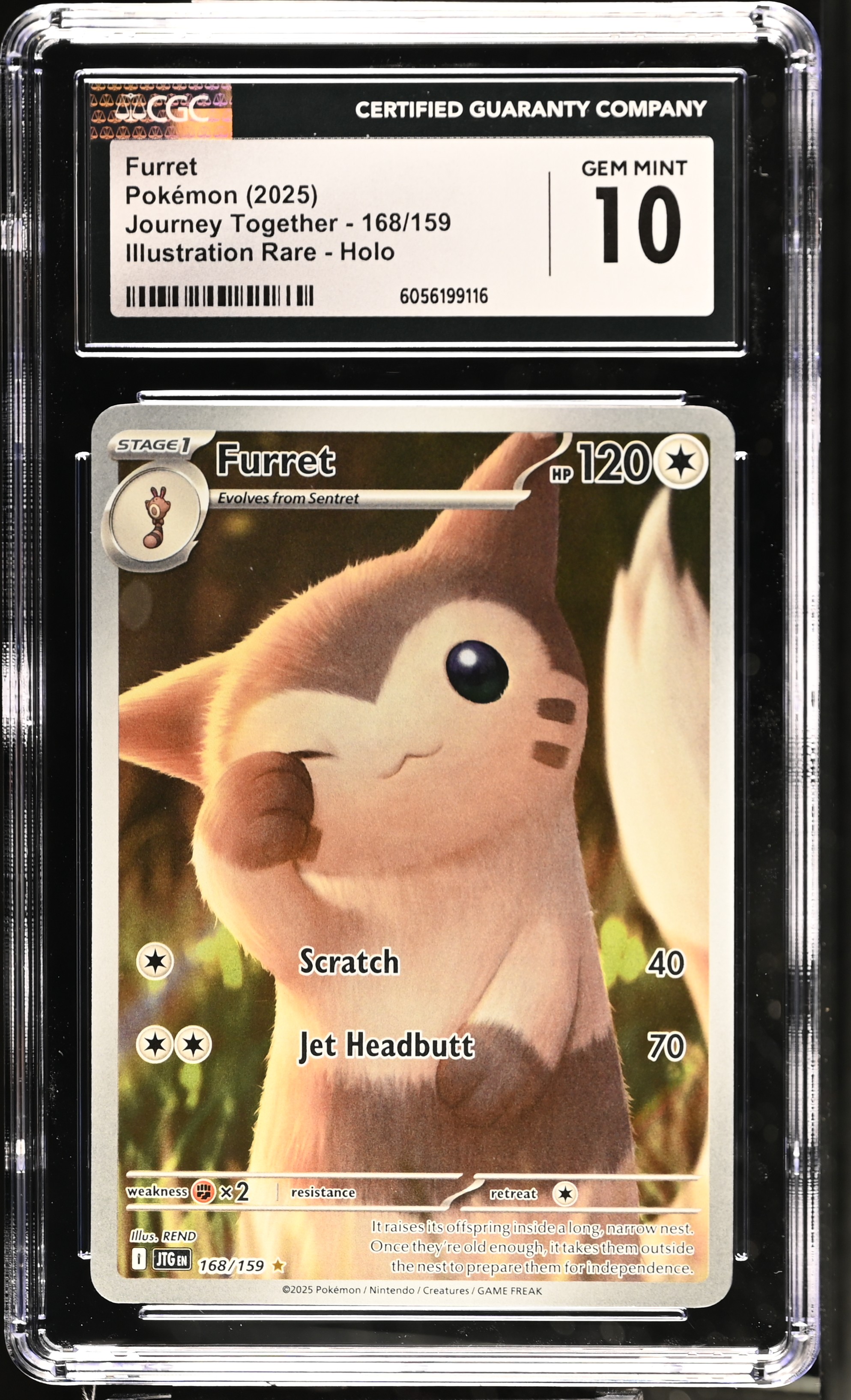 Furret card artwork