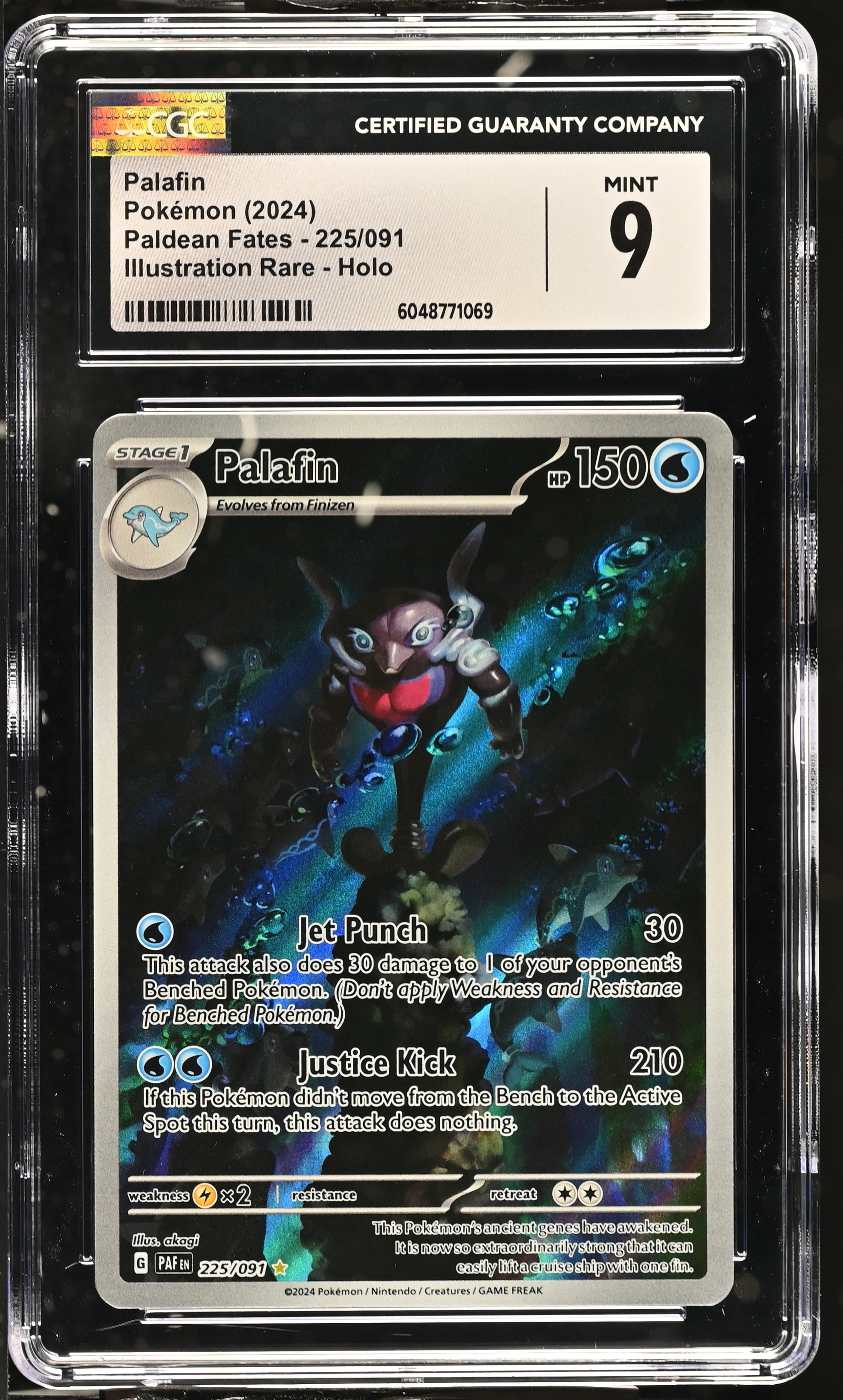 Palafin card artwork