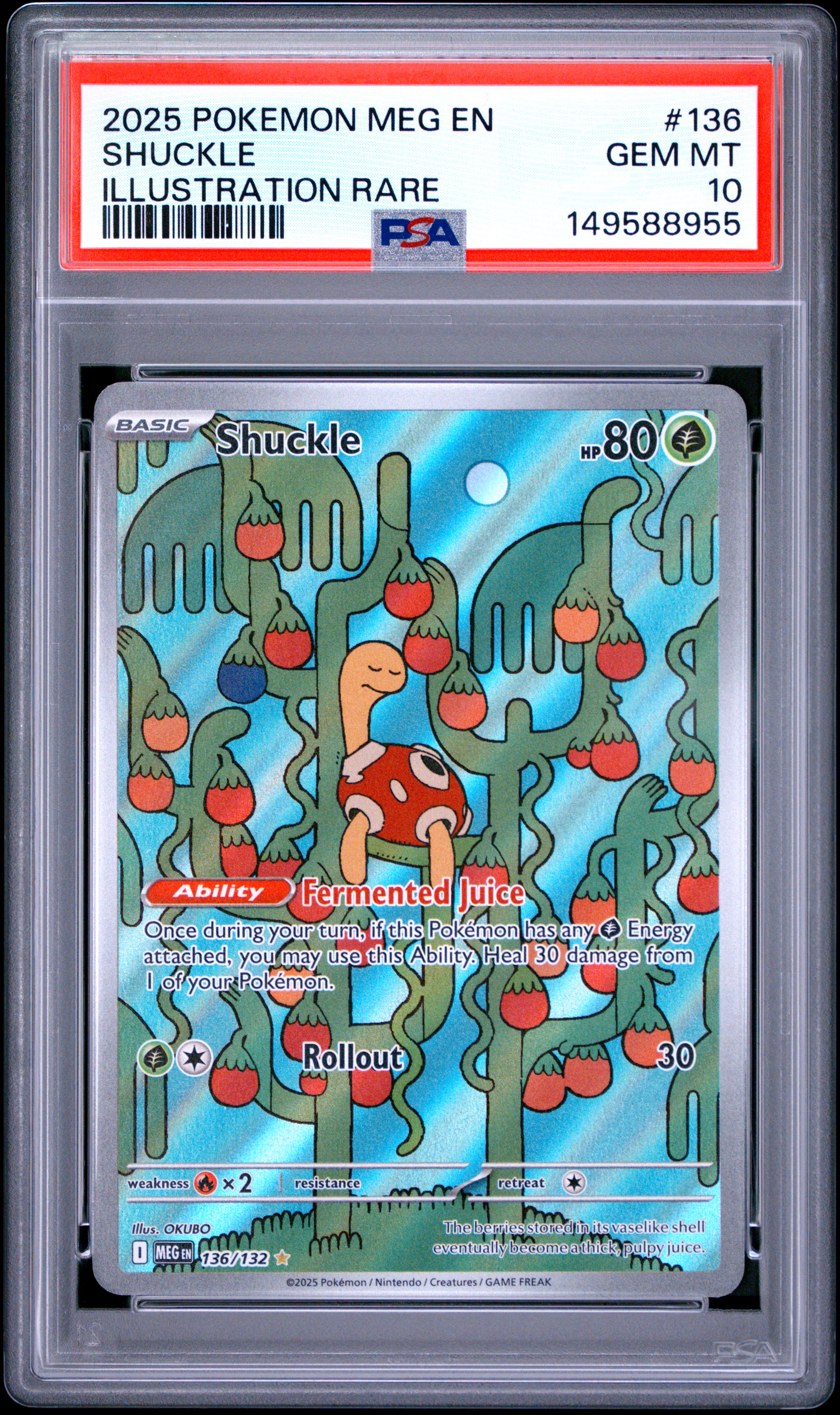 Shuckle card artwork