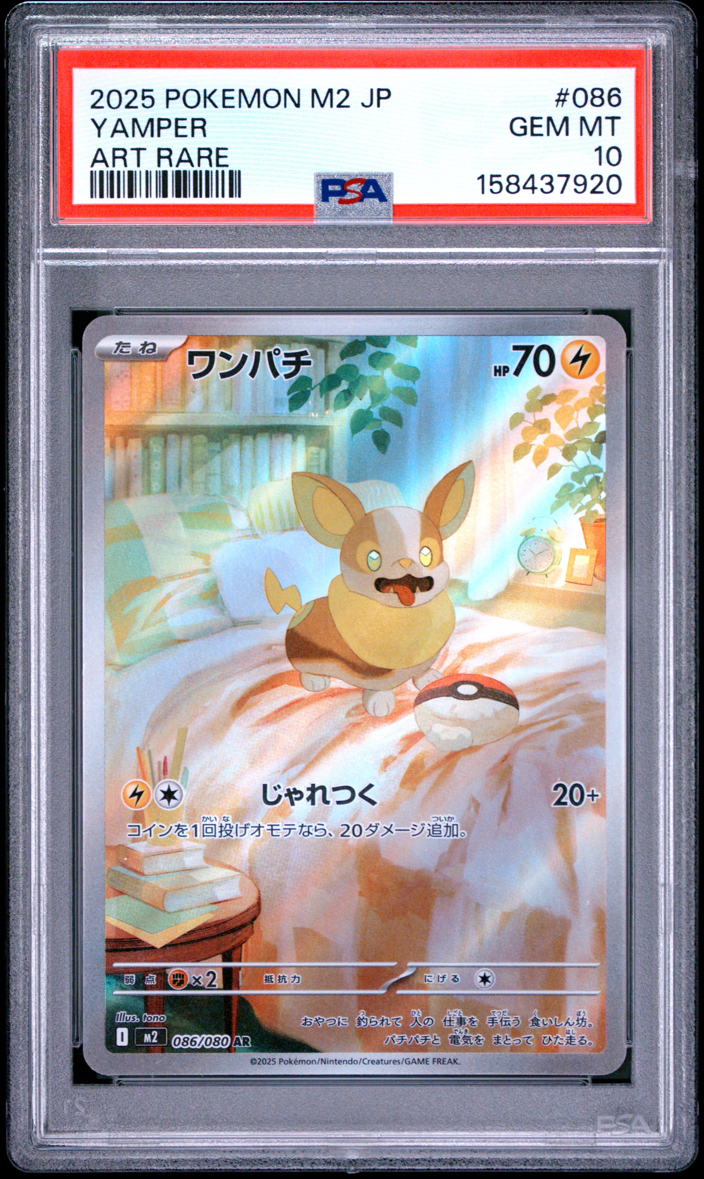 Yamper card artwork