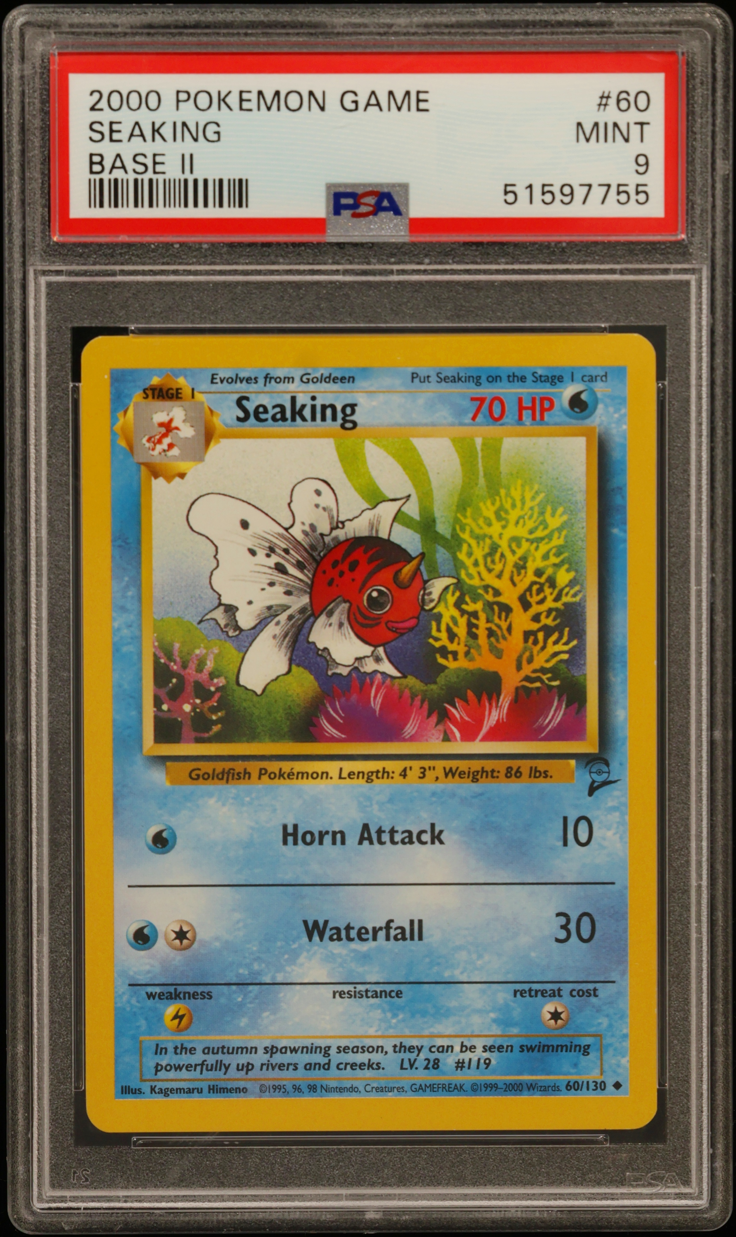 Seaking card artwork