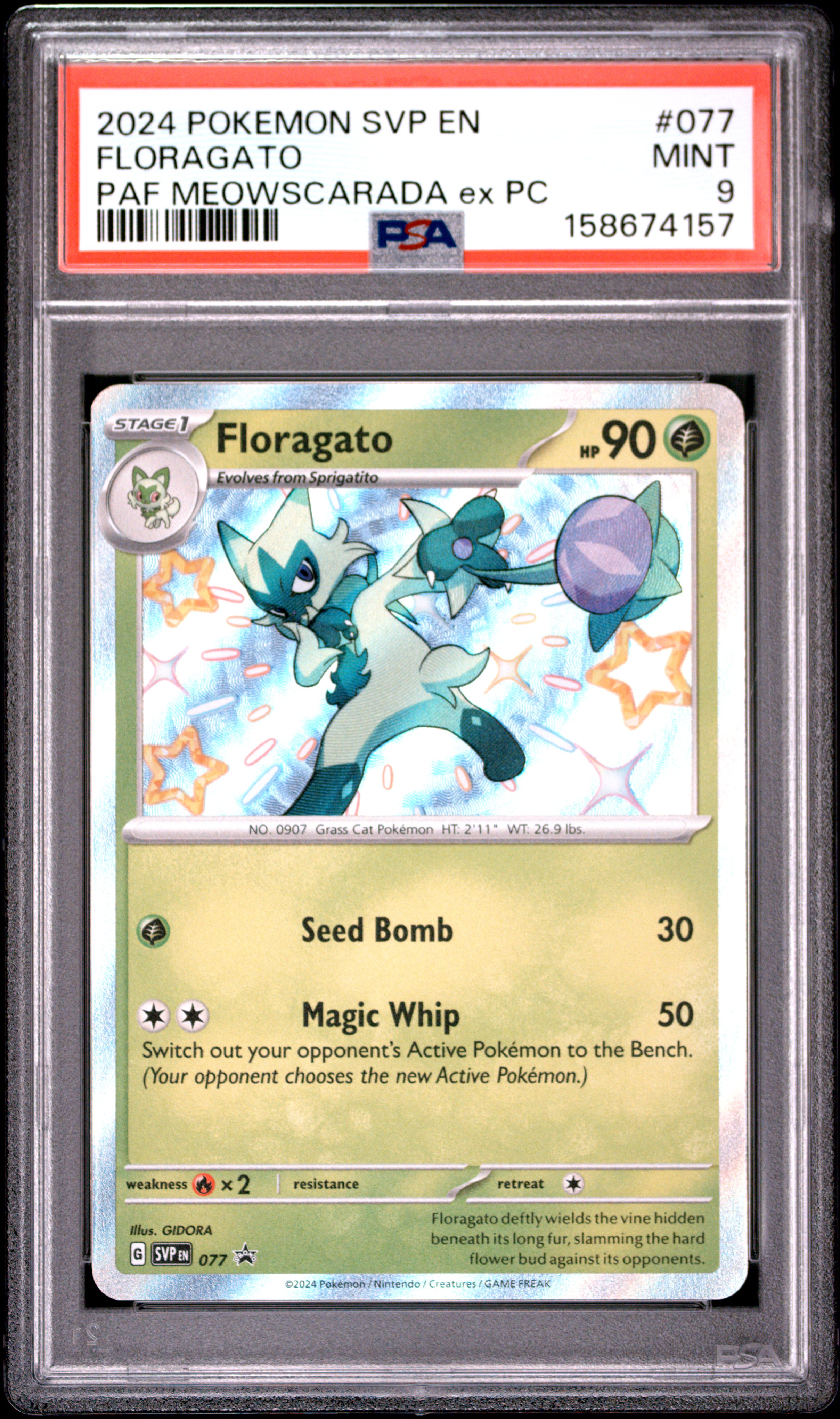 Floragato card artwork