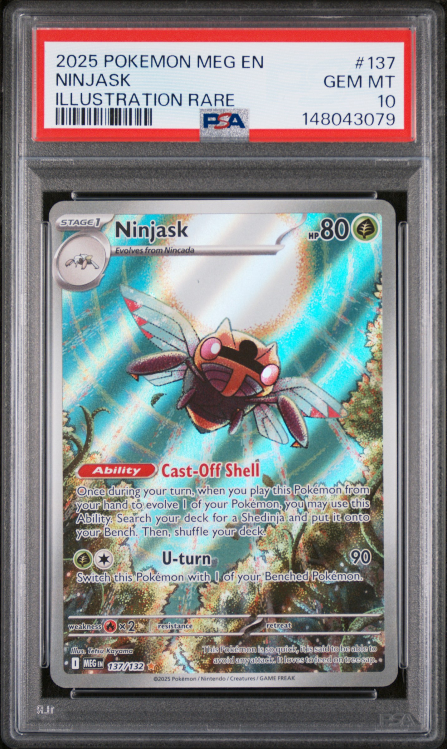Ninjask card artwork