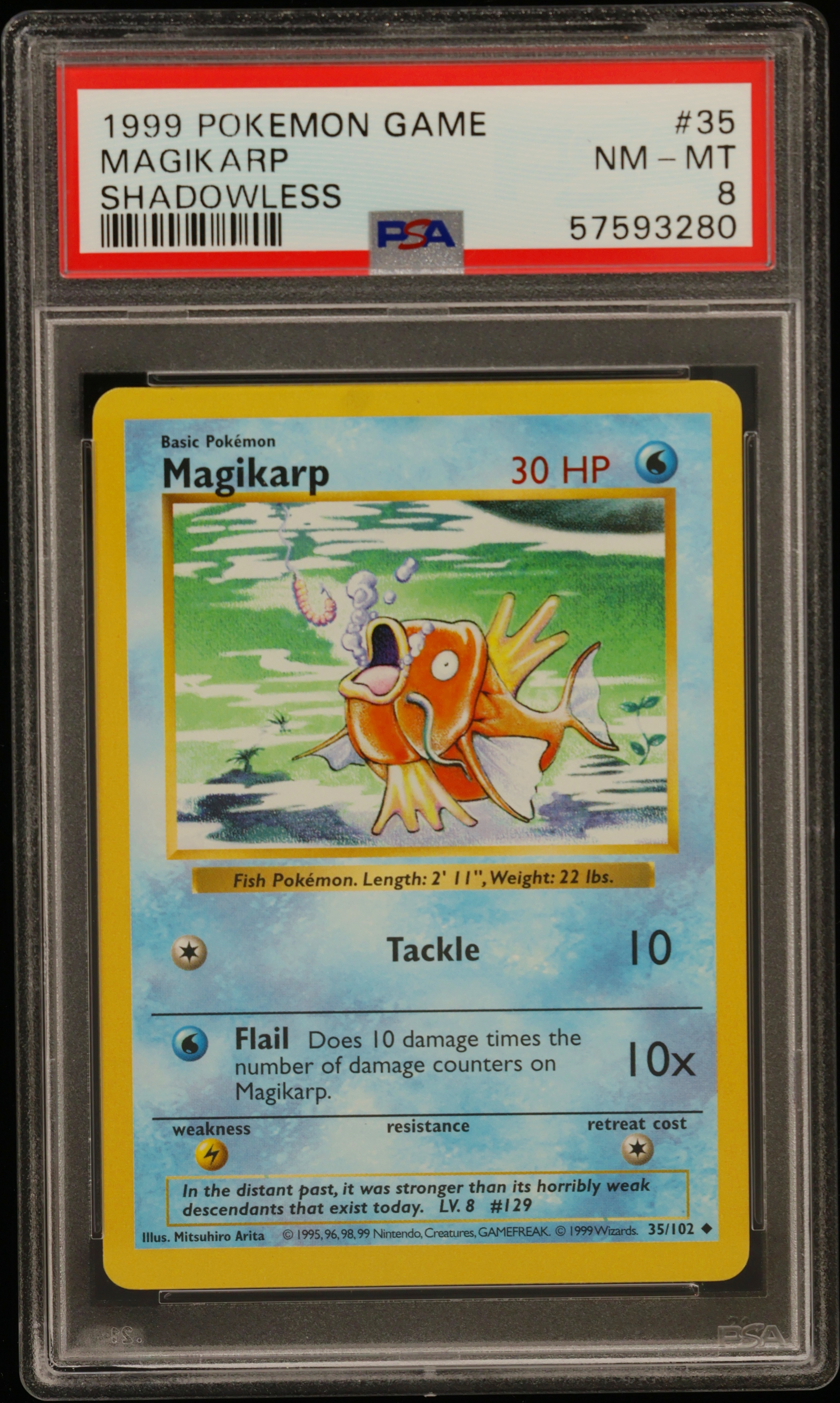 Magikarp card artwork