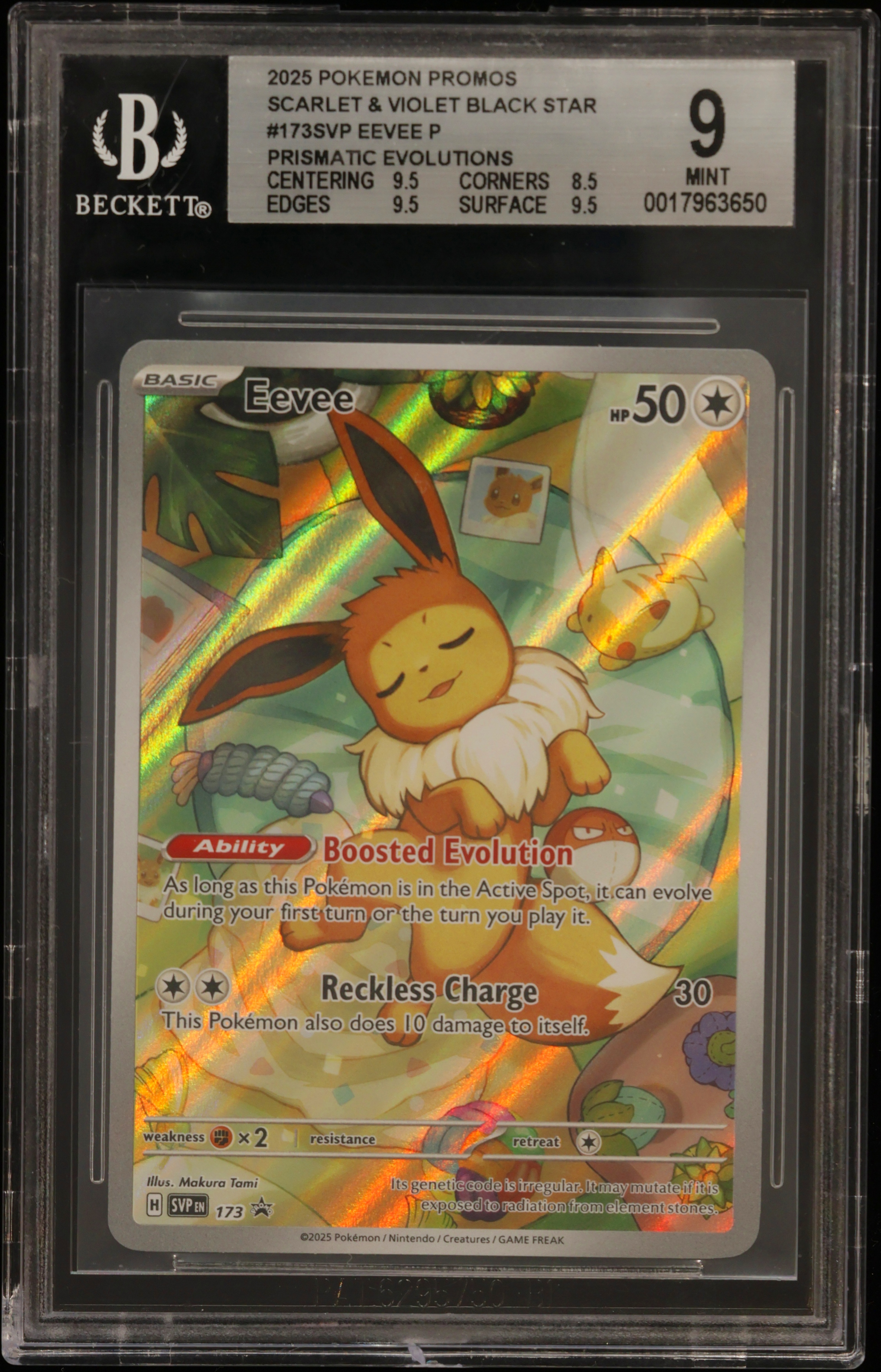 Eevee/(Prismatic Evolutions Elite Trainer Box) card artwork