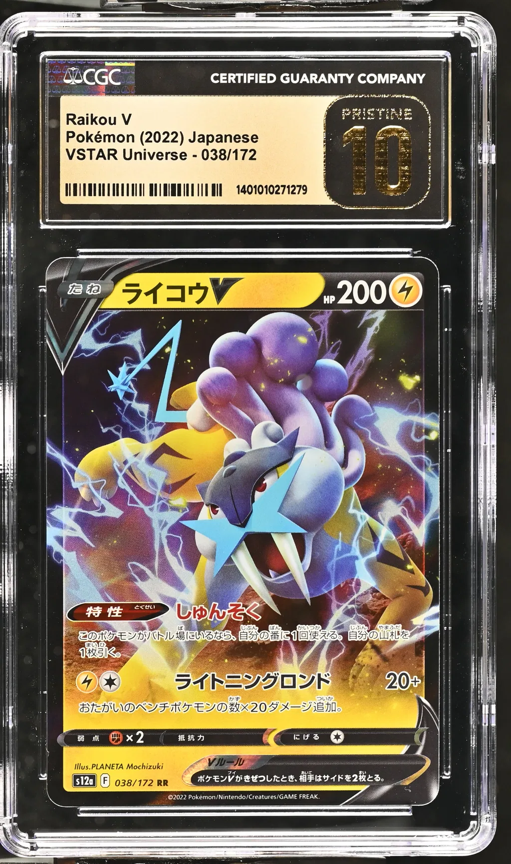 Raikou V card artwork