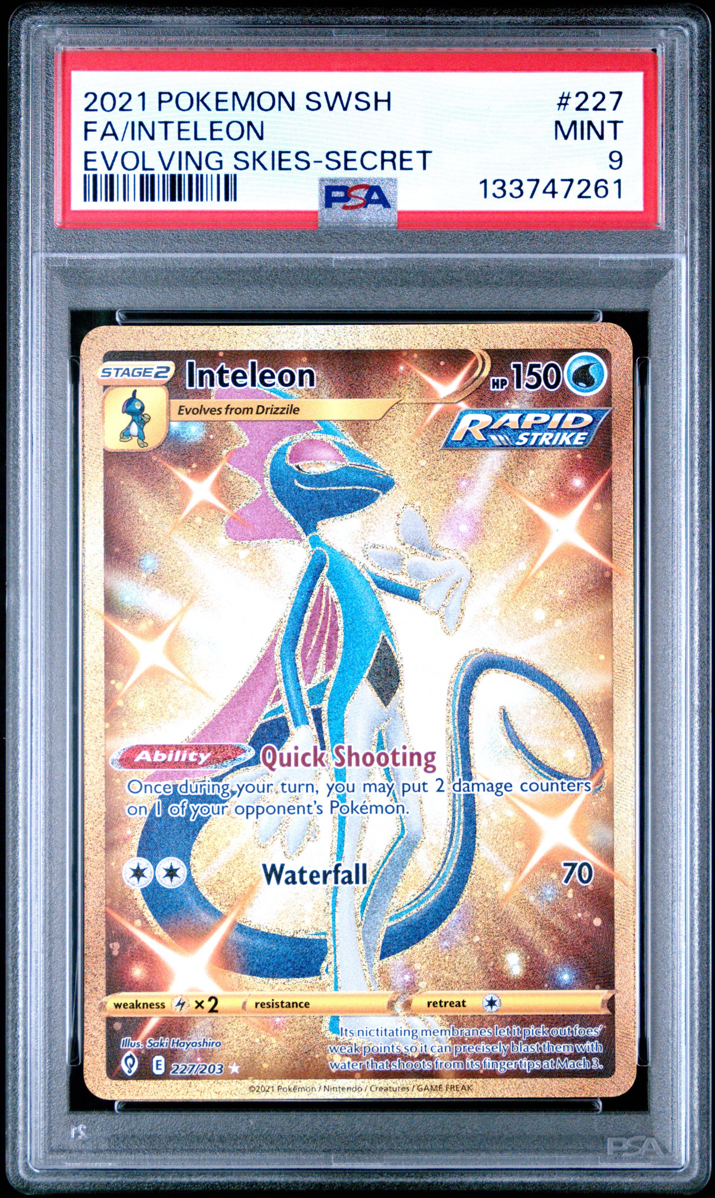 Full Art/Inteleon card artwork