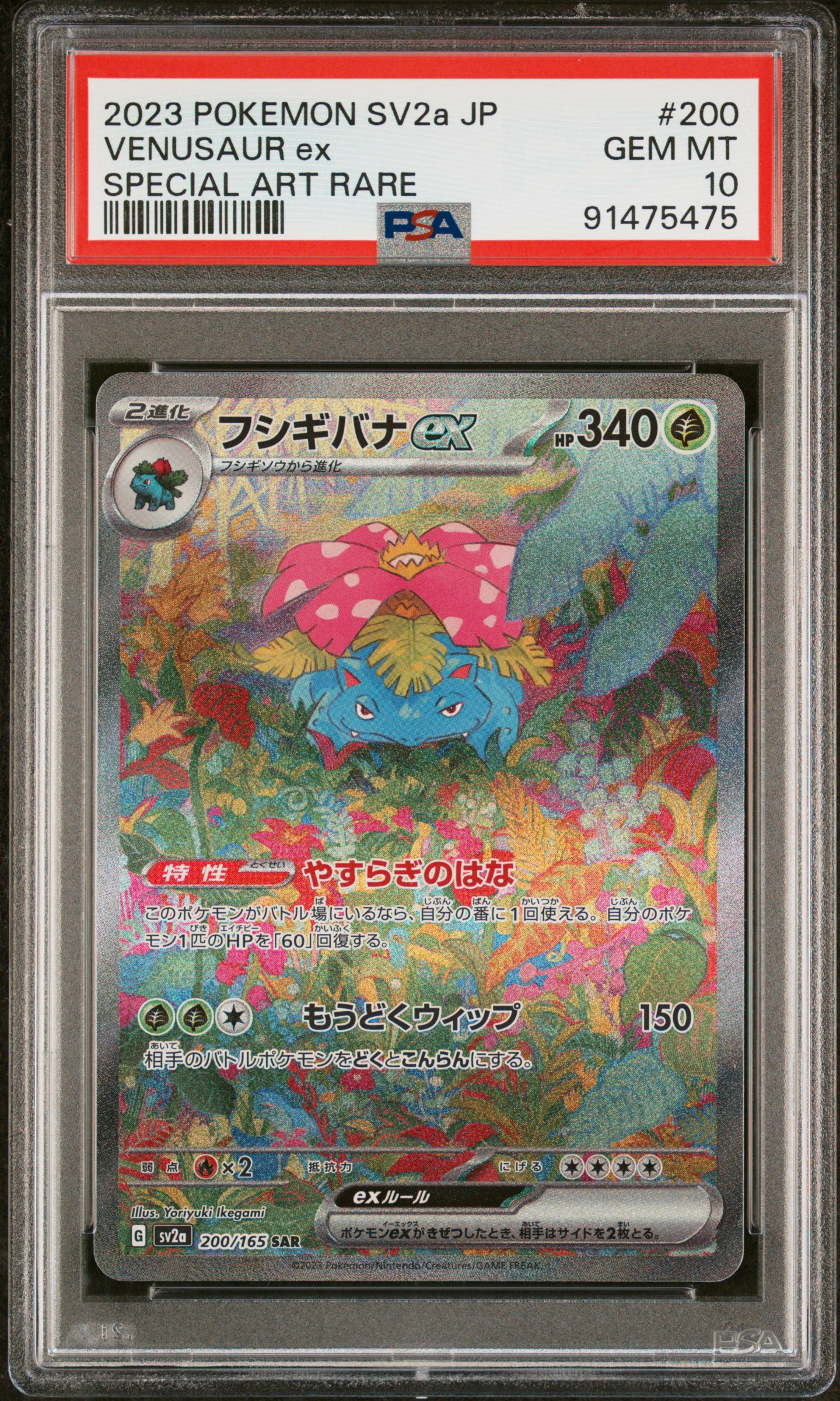 Venusaur EX card artwork