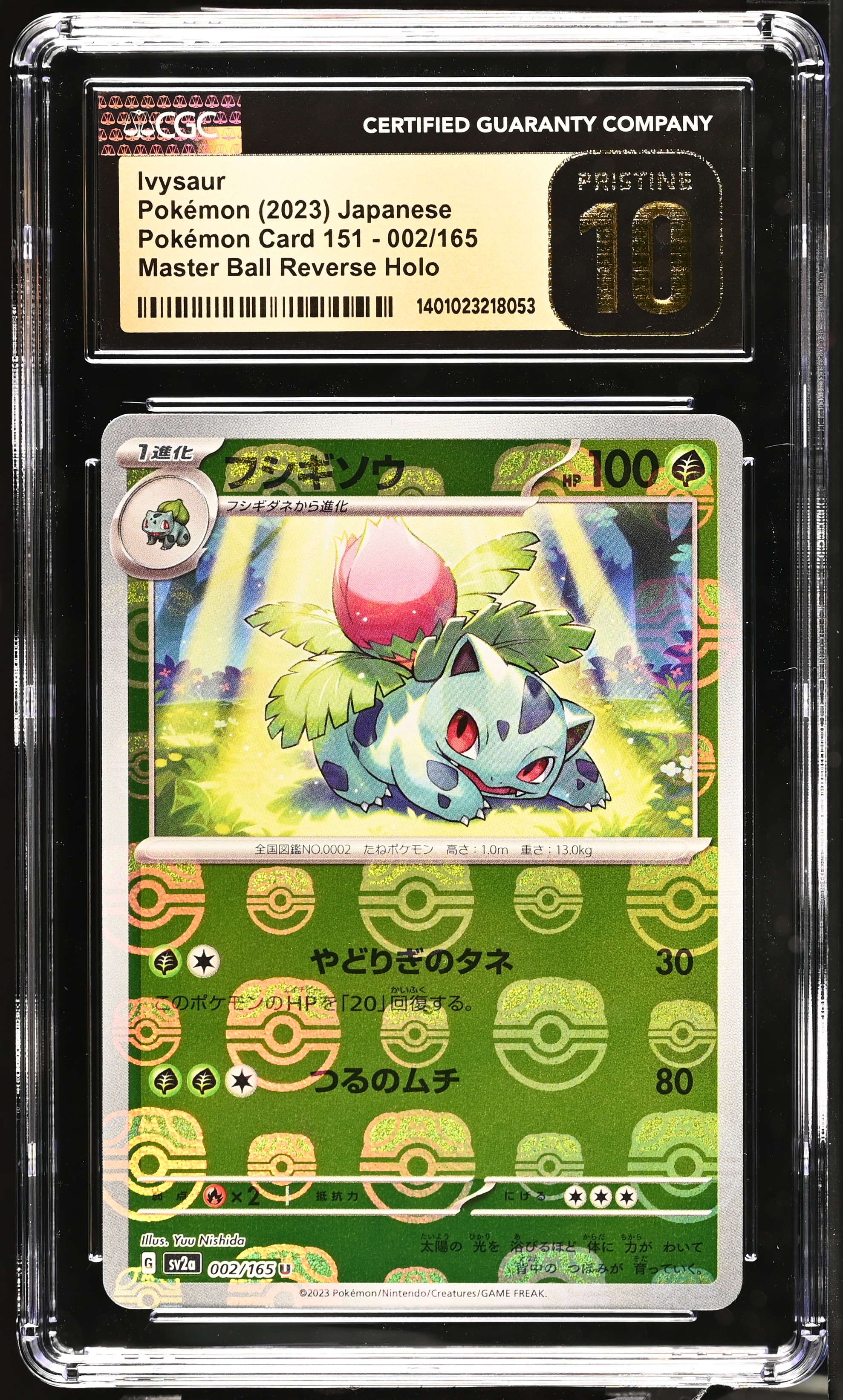 Ivysaur card artwork