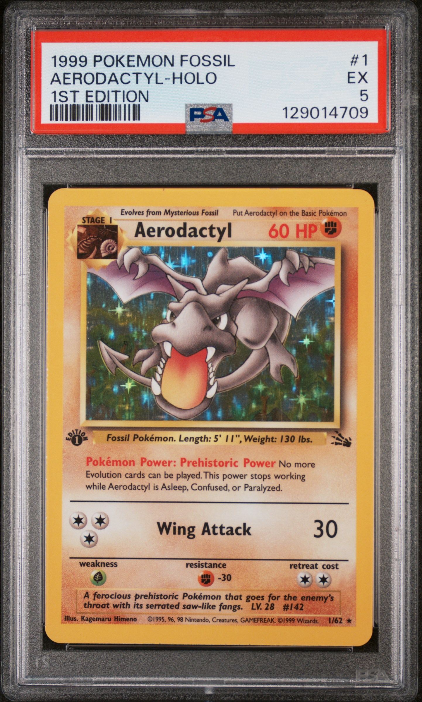 Aerodactyl-Holo card artwork
