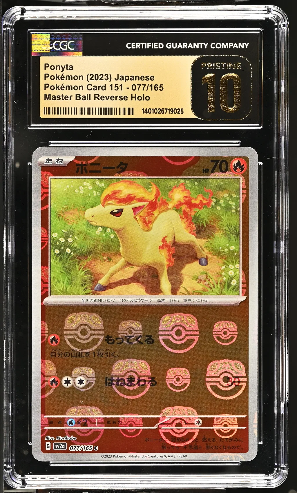Ponyta card artwork