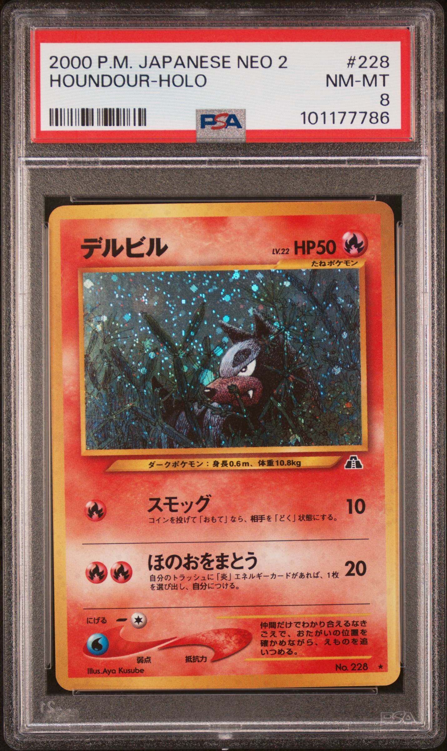 Houndour-Holo card artwork