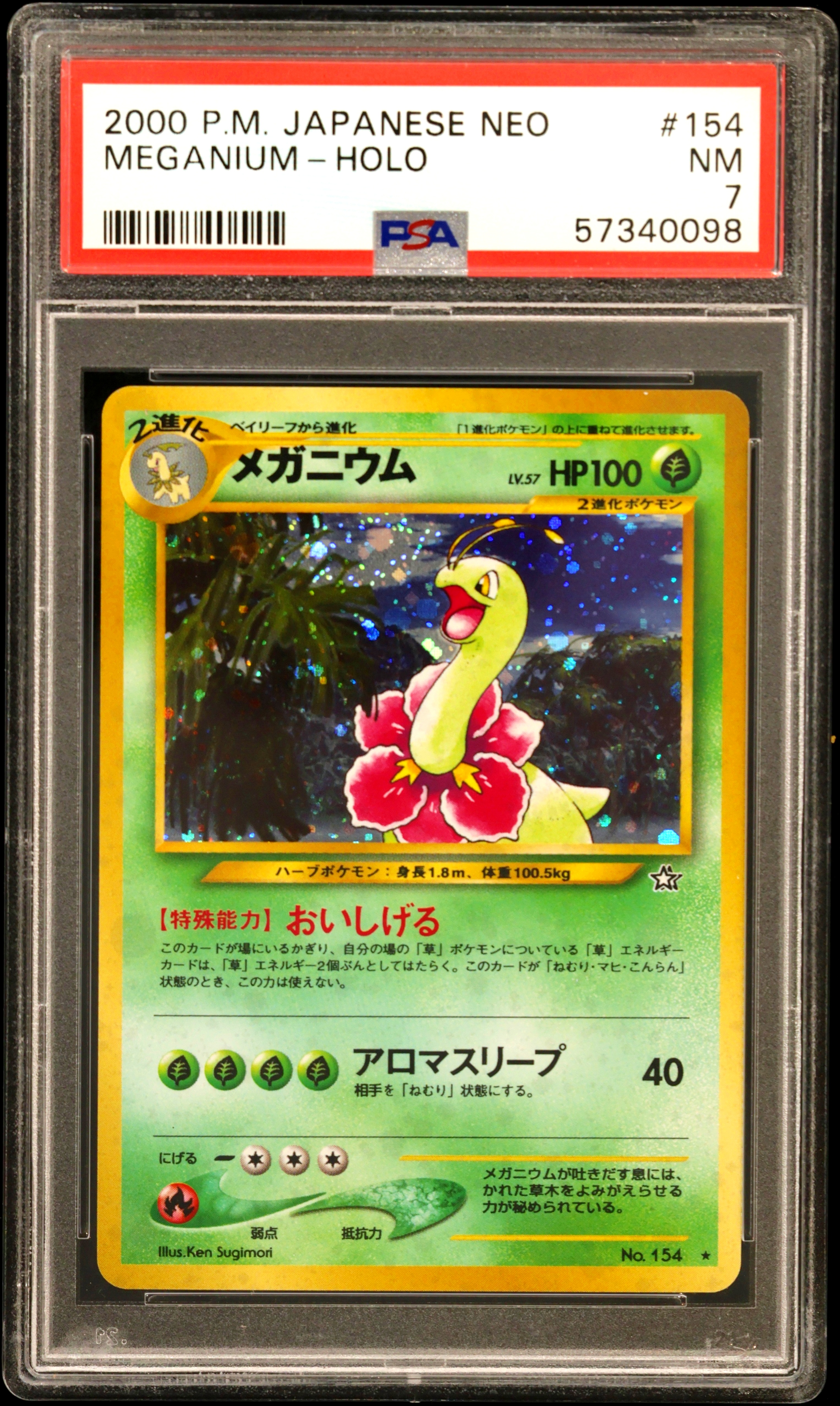 Meganium-Holo card artwork