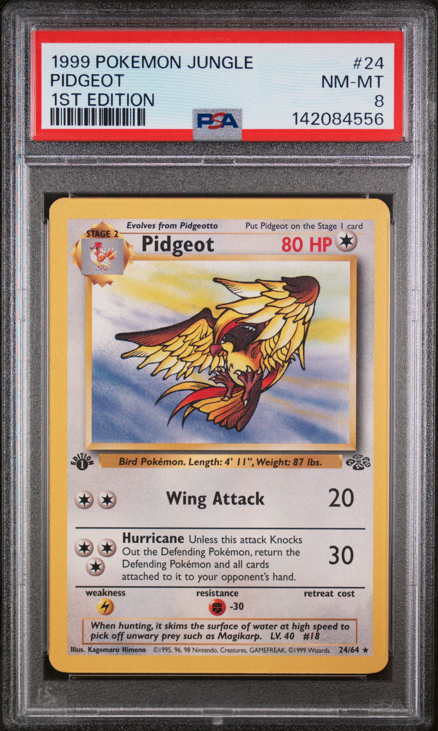 Pidgeot card artwork