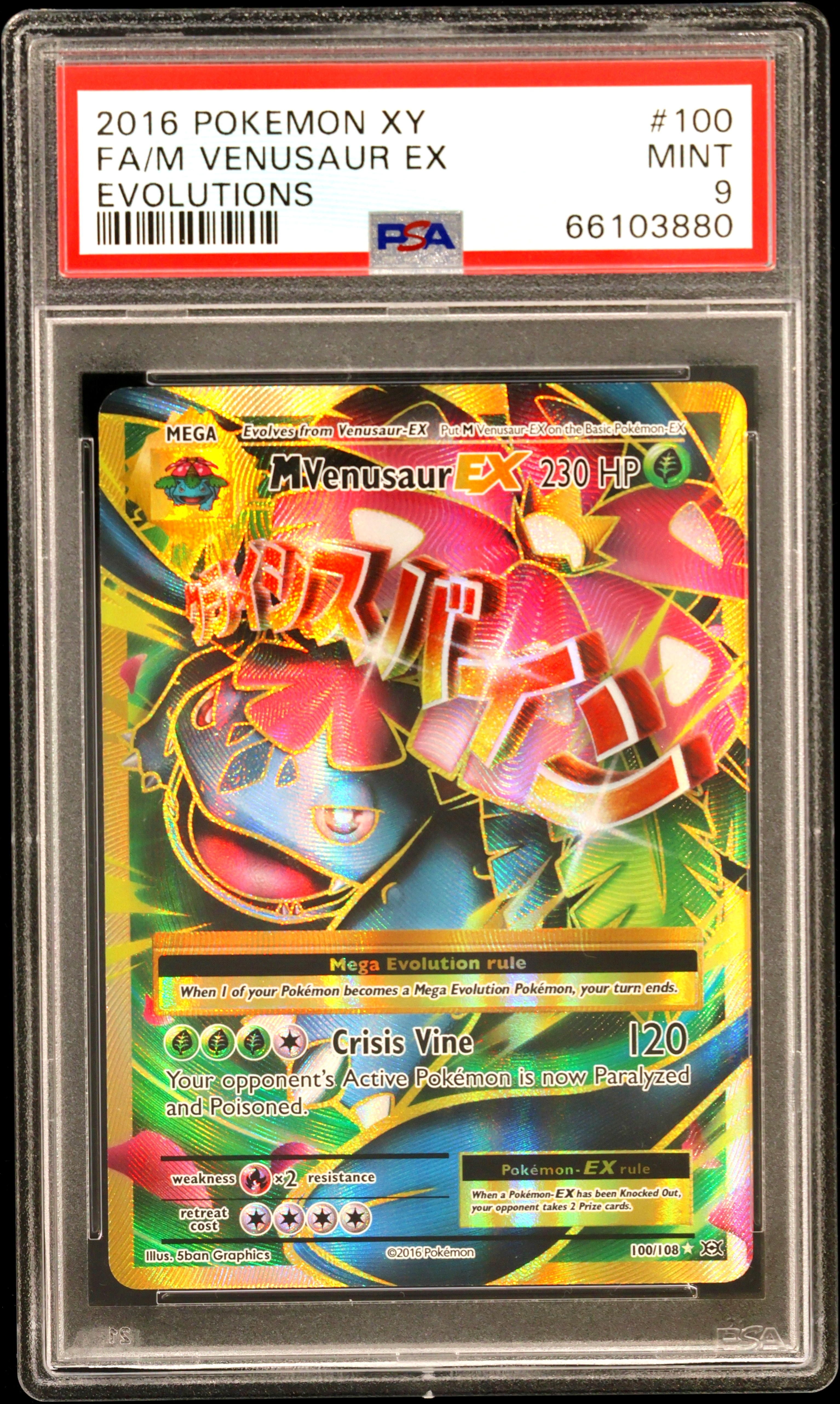 Full Art/M Venusaur EX card artwork