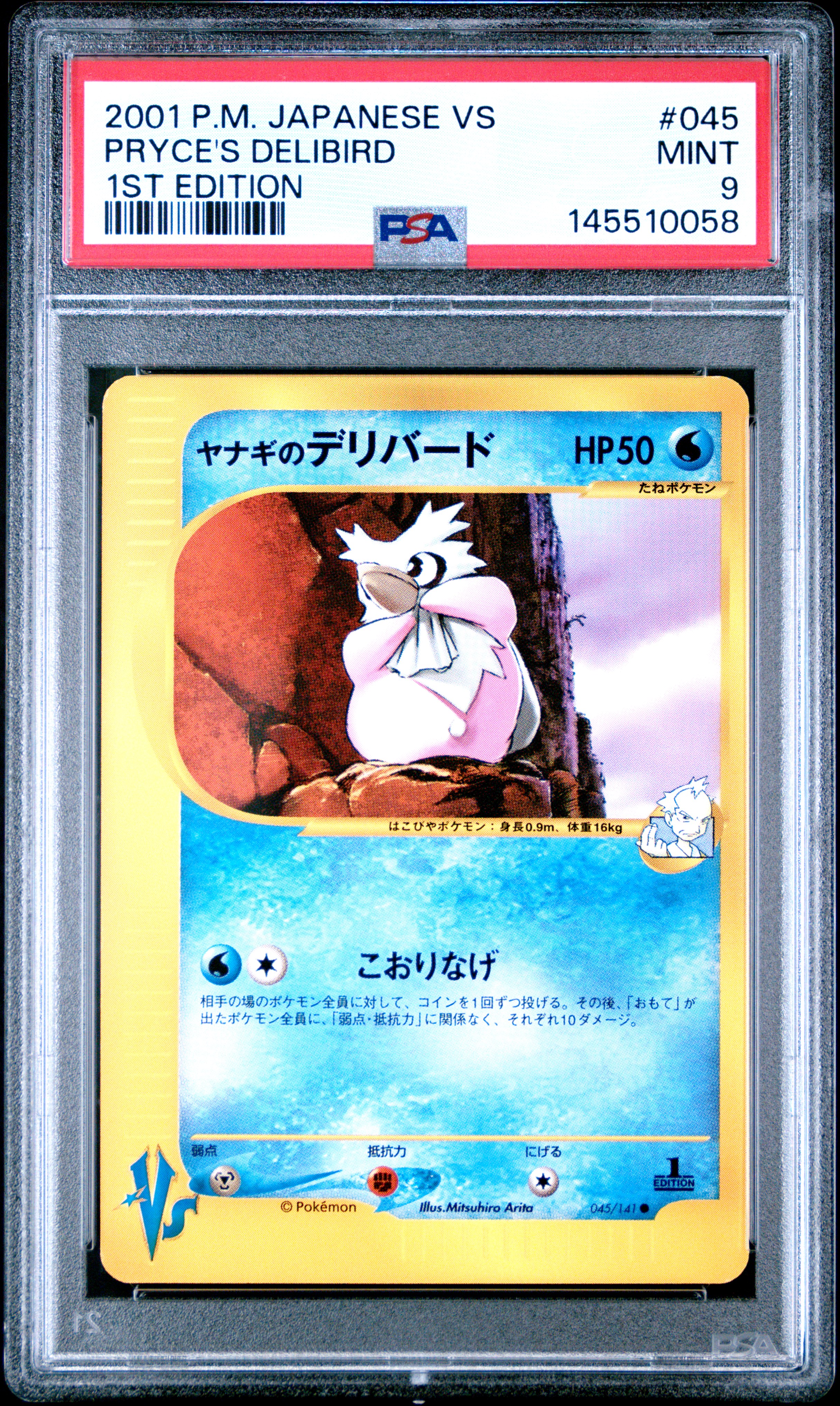 Pryce's Delibird card artwork