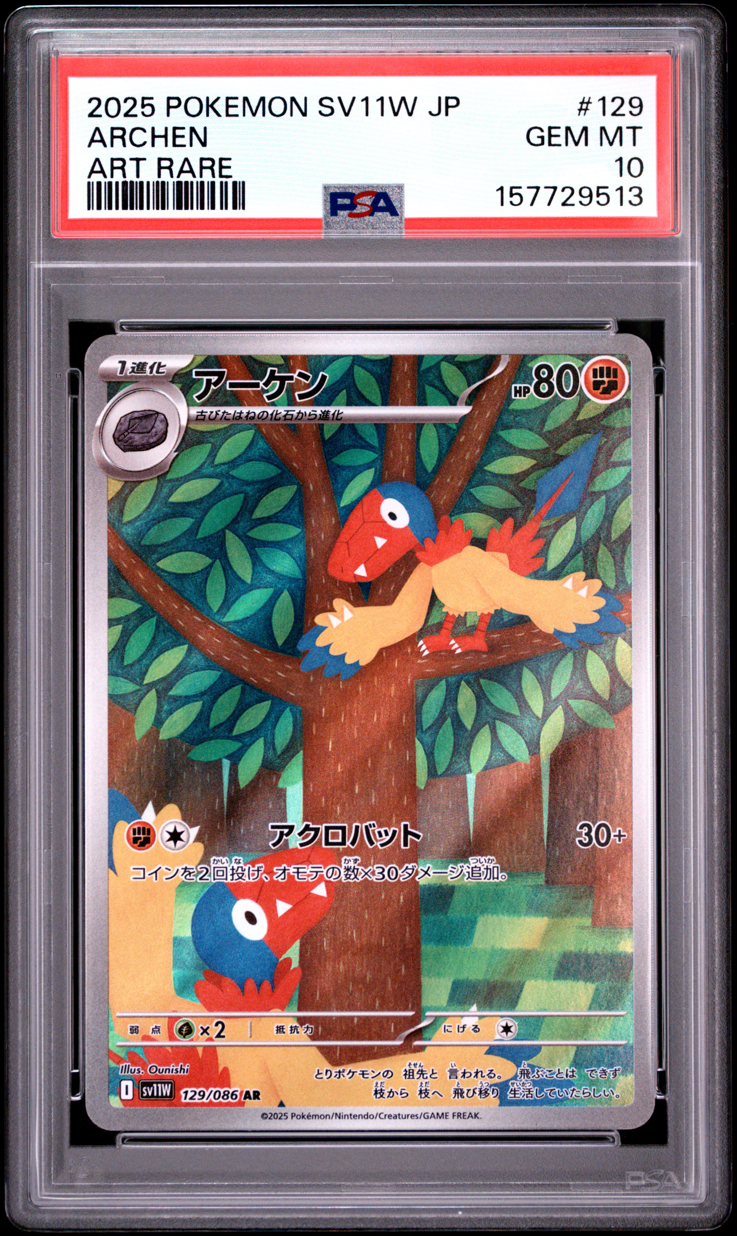 Archen card artwork