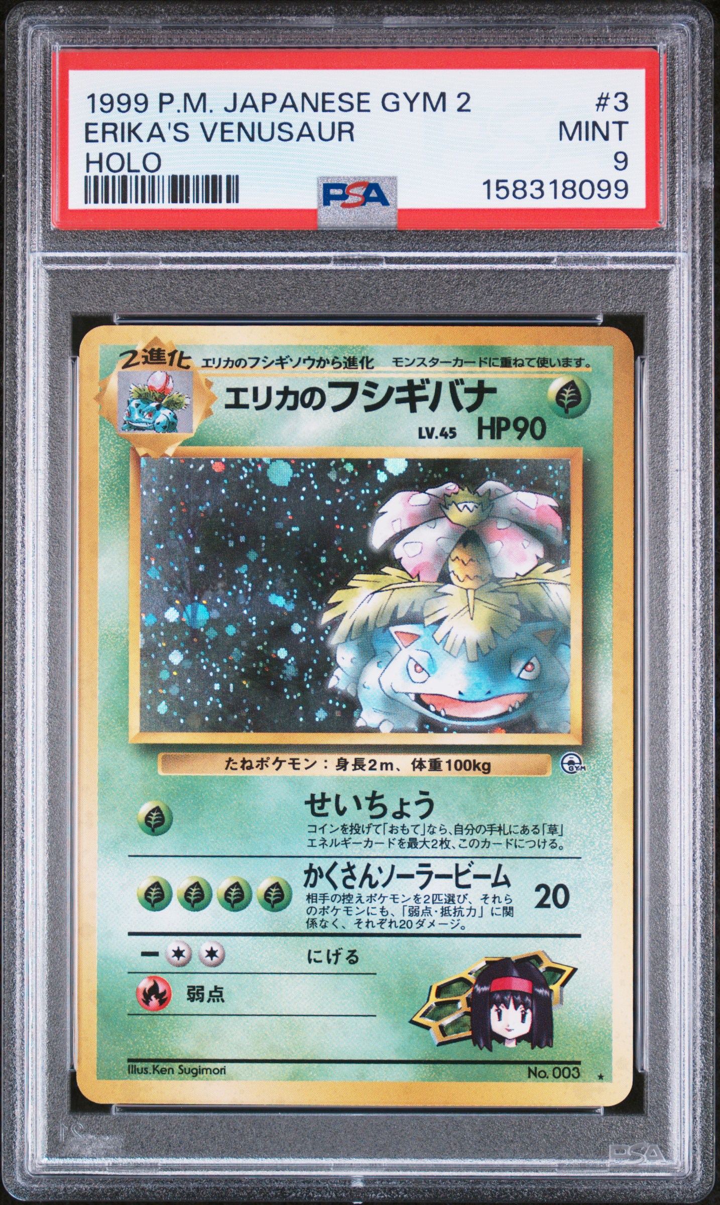 Erika's Venusaur-Holo card artwork