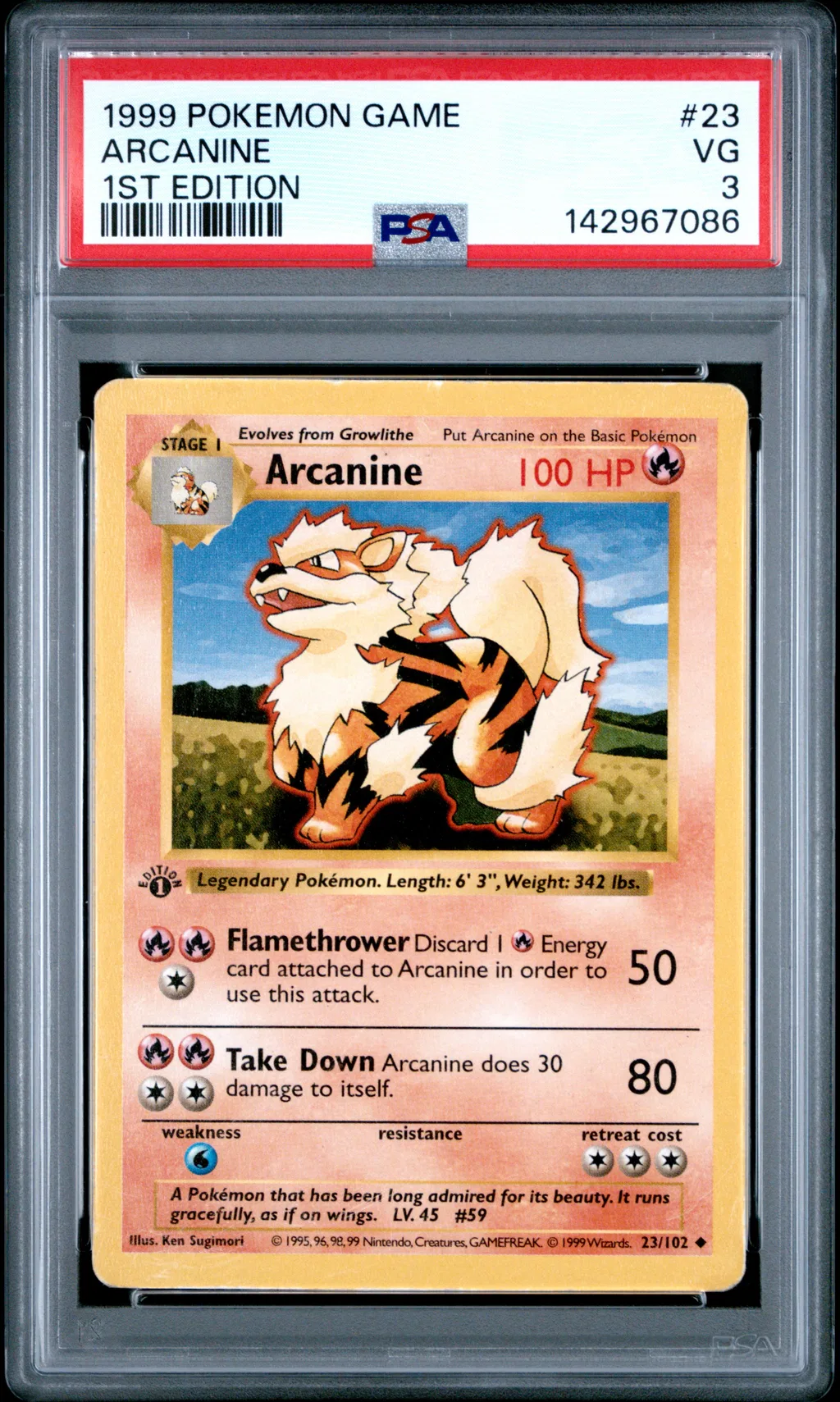 Arcanine card artwork