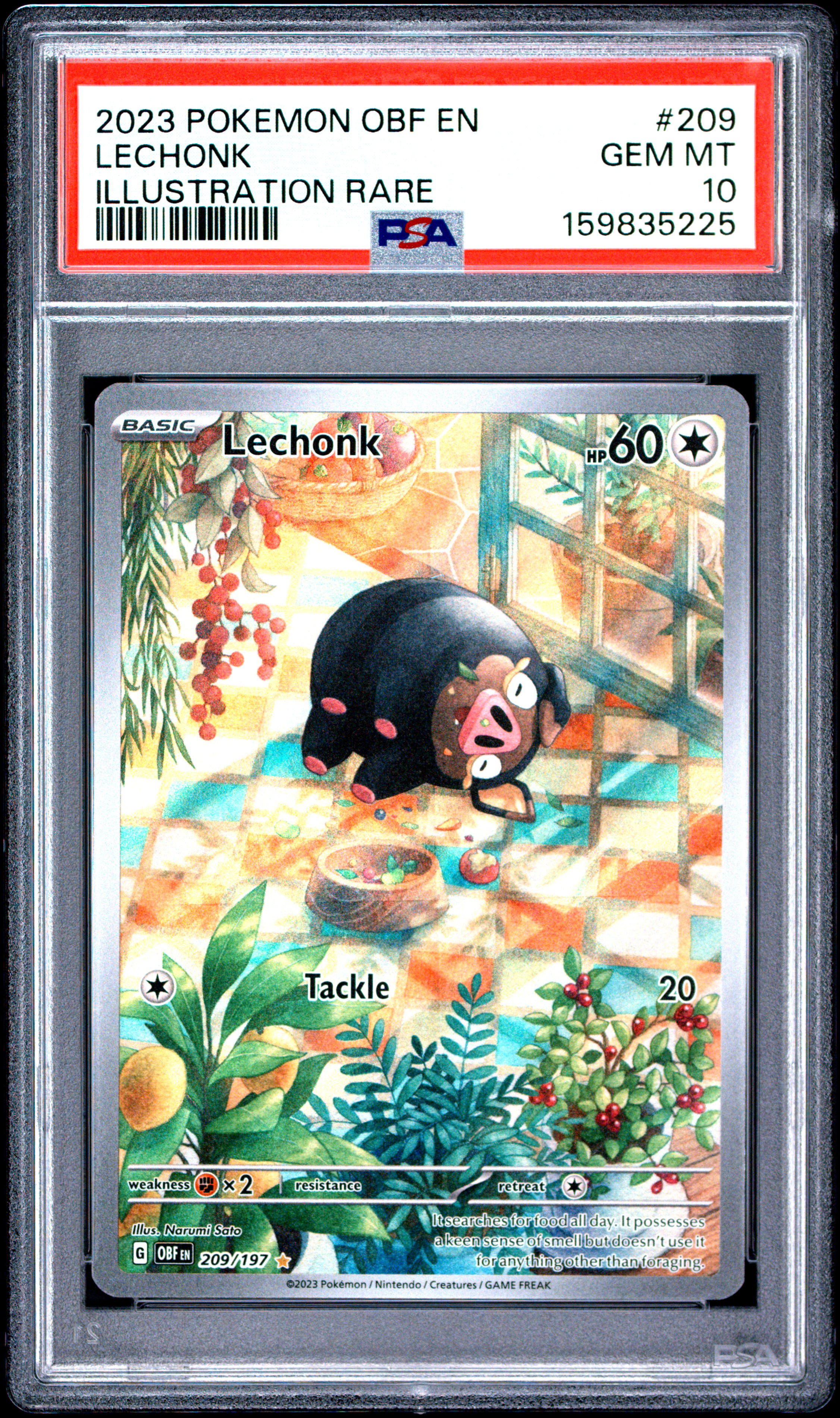 Lechonk card artwork