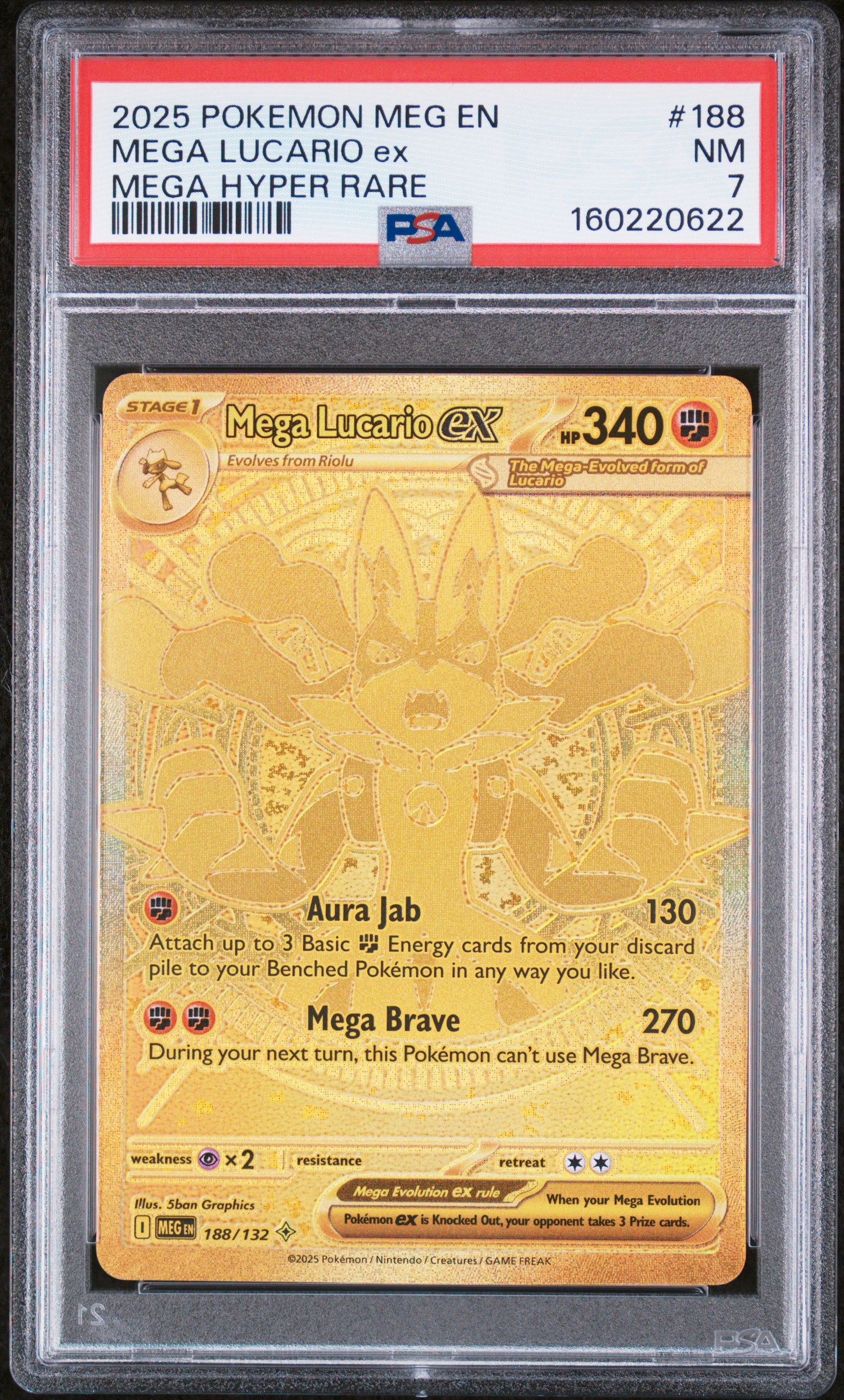 Mega Lucario EX card artwork