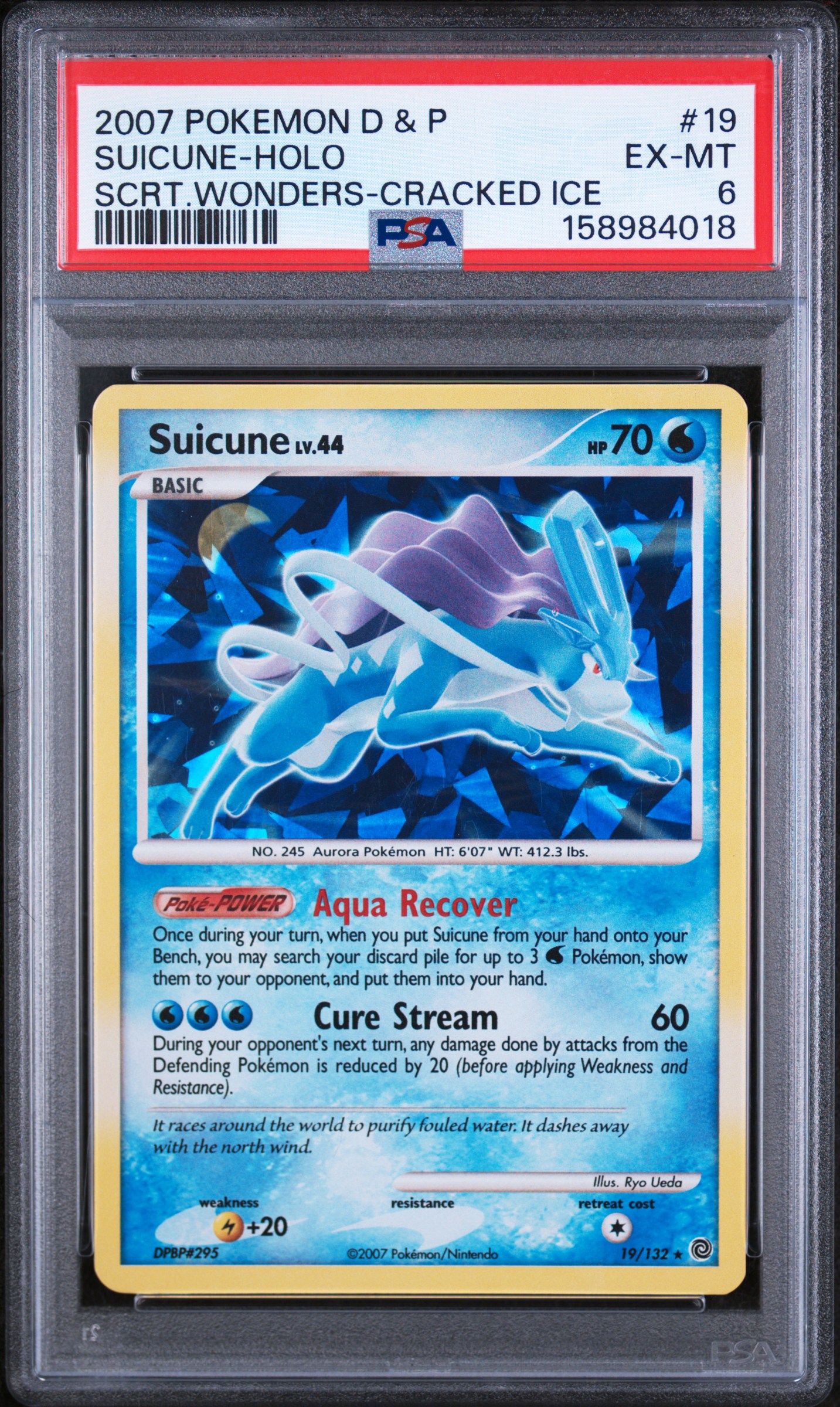 Suicune-Holo card artwork