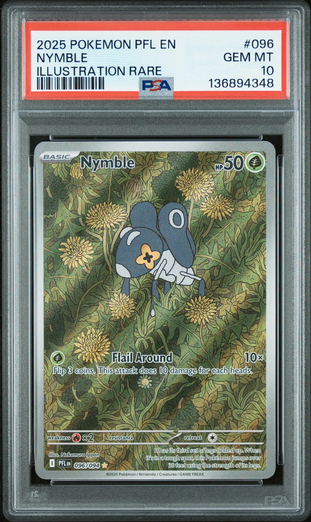 Nymble card artwork