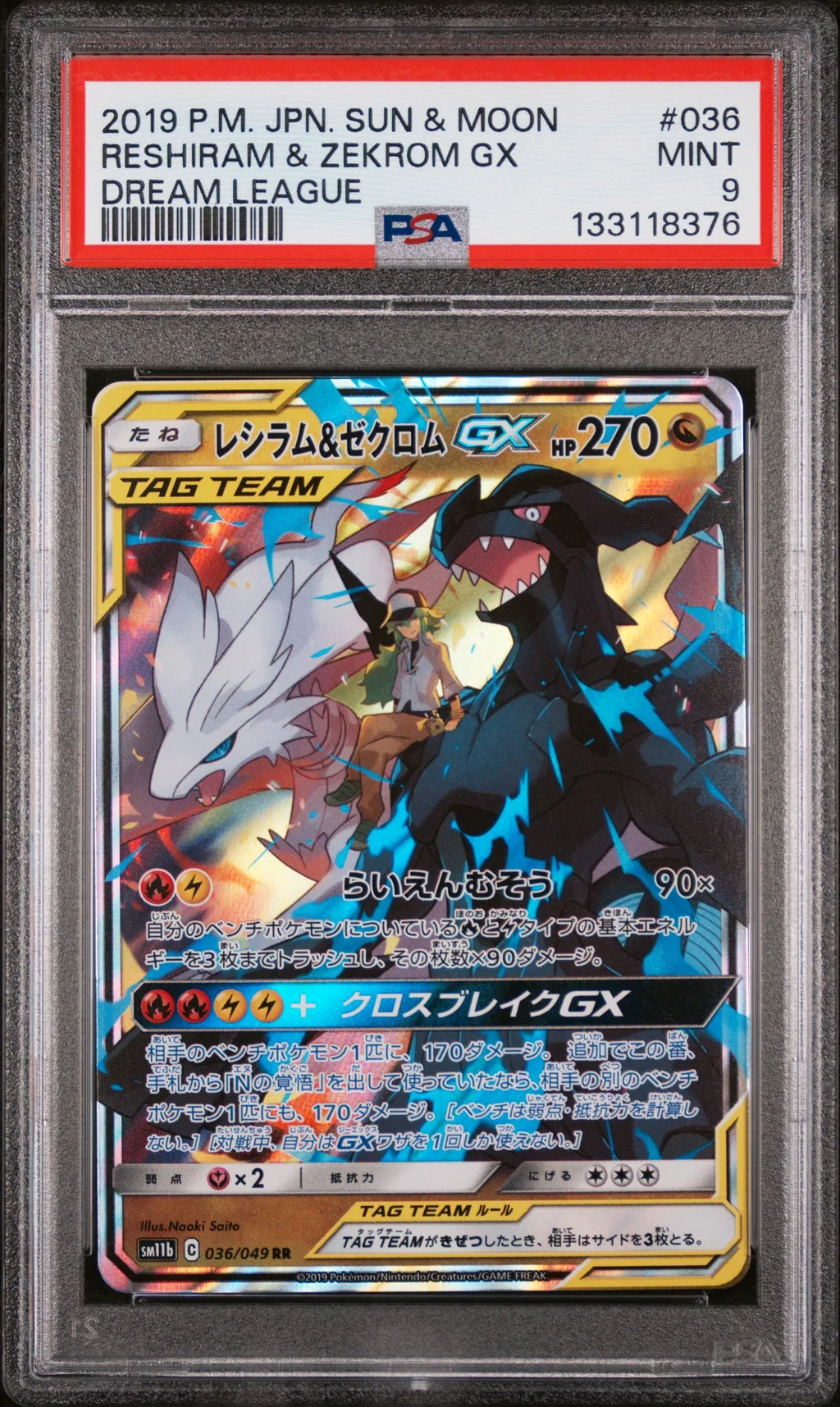 Reshiram & Zekrom GX card artwork
