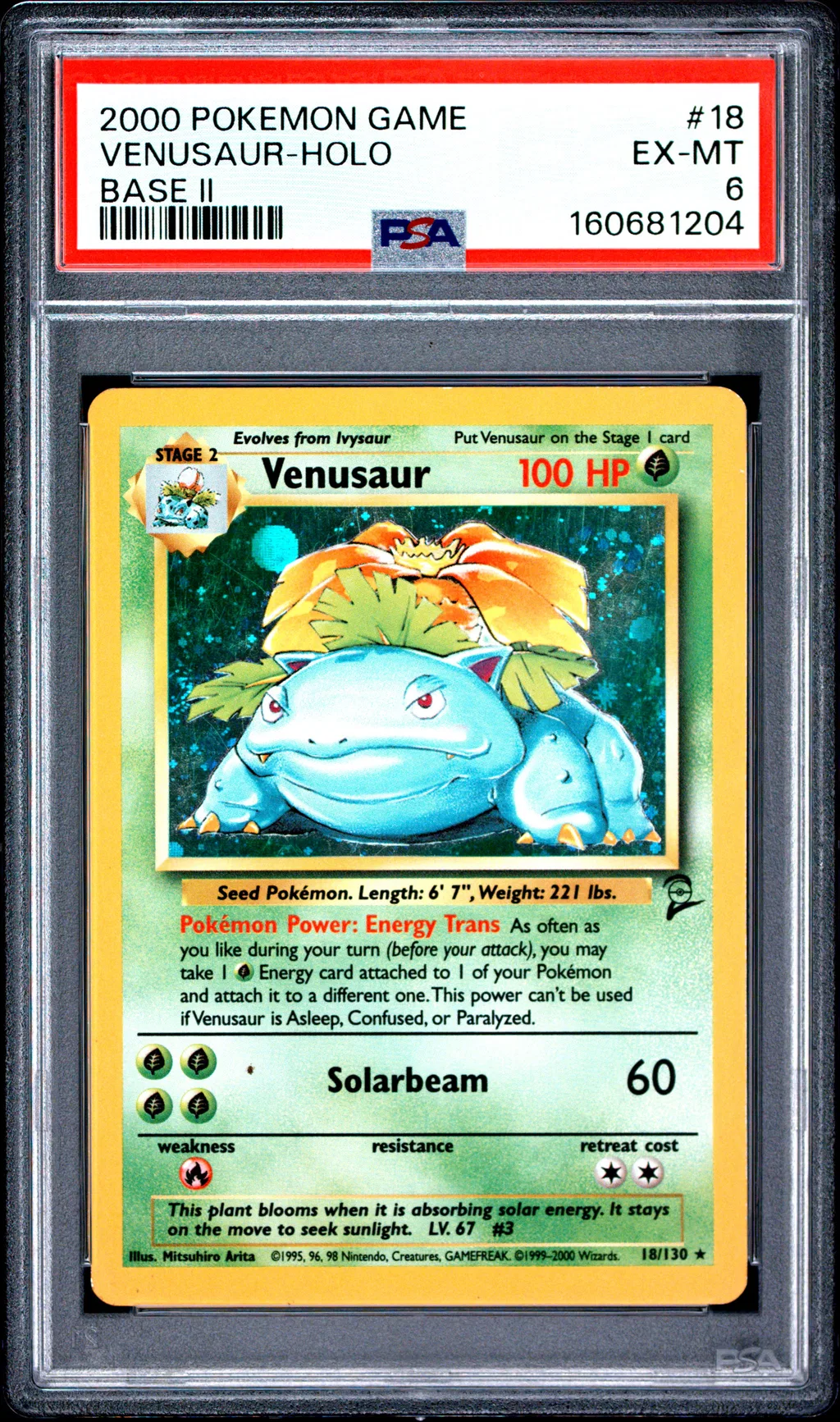 Venusaur-Holo card artwork